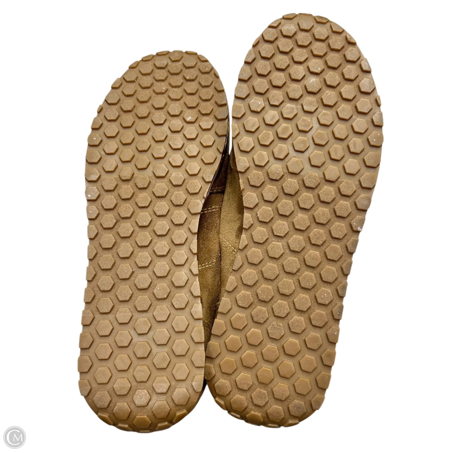 Shoes Sneakers By Madden Girl In Brown & White, Size: 8