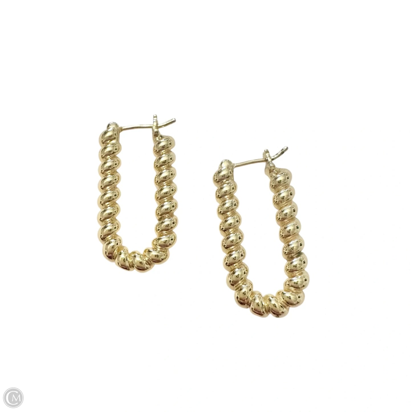 Earrings Hoop