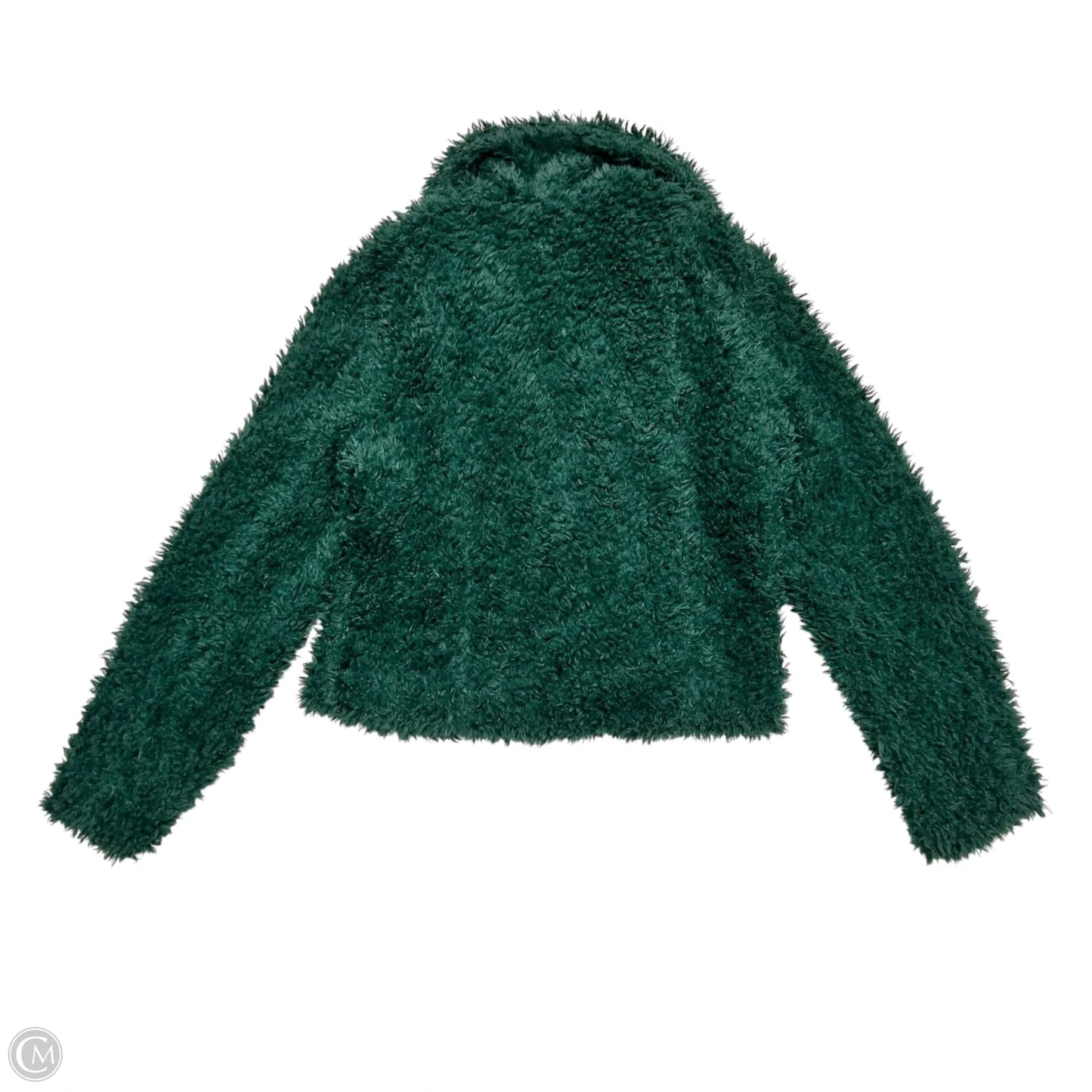 Coat Faux Fur & Sherpa By Blanknyc In Green, Size: Xl