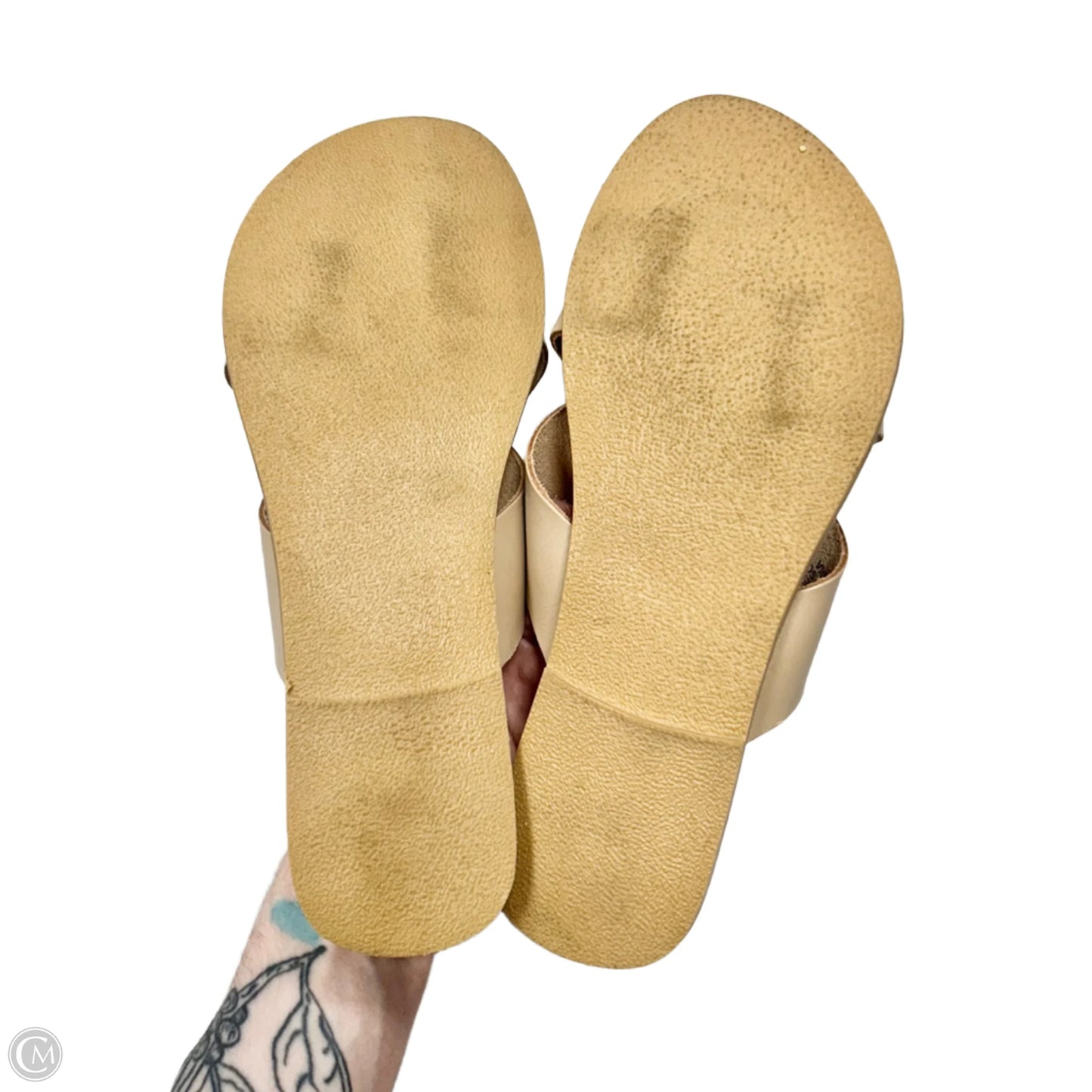 Shoes Flats By Matisse In Tan, Size: 6