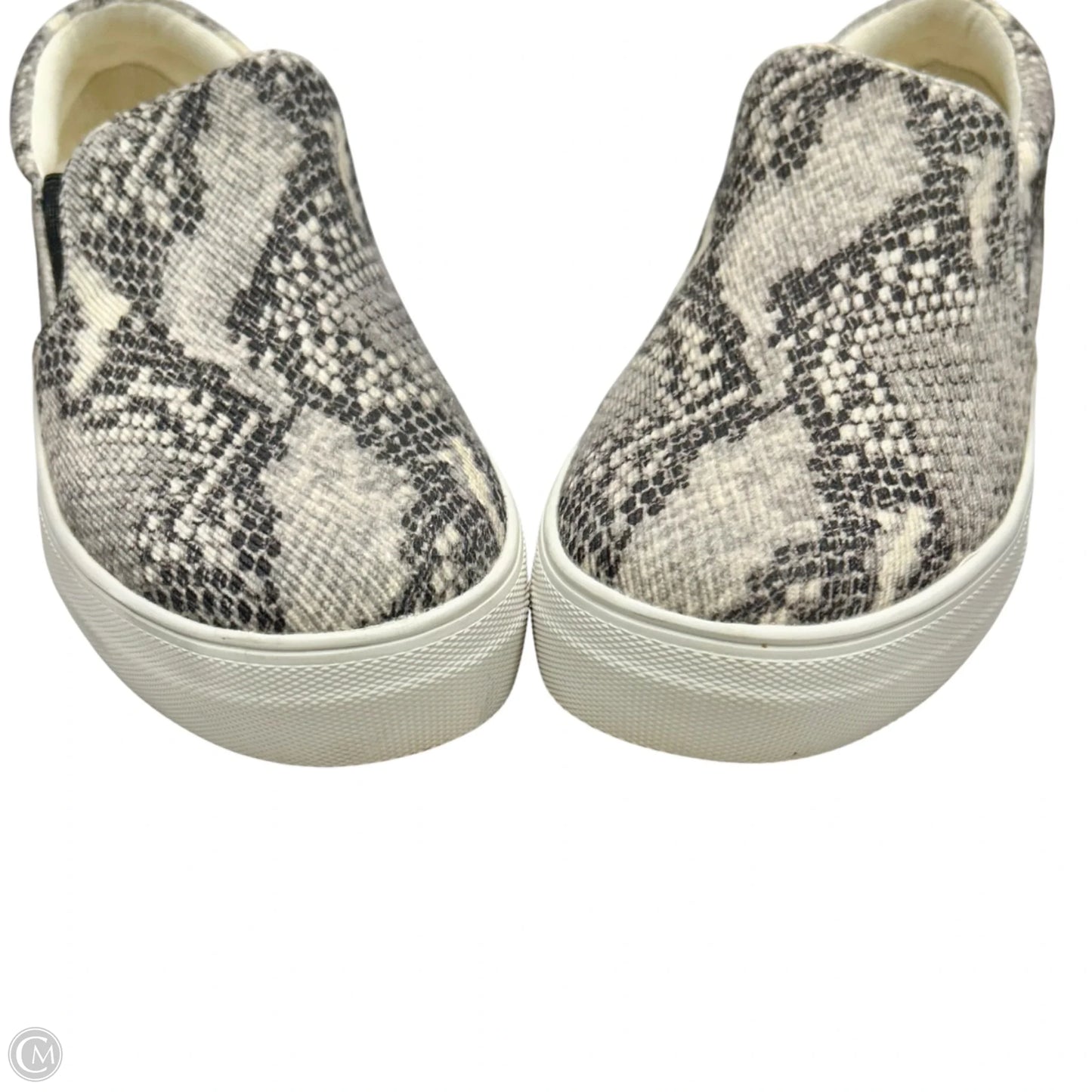 Shoes Sneakers By Steve Madden In Snakeskin Print, Size: 8