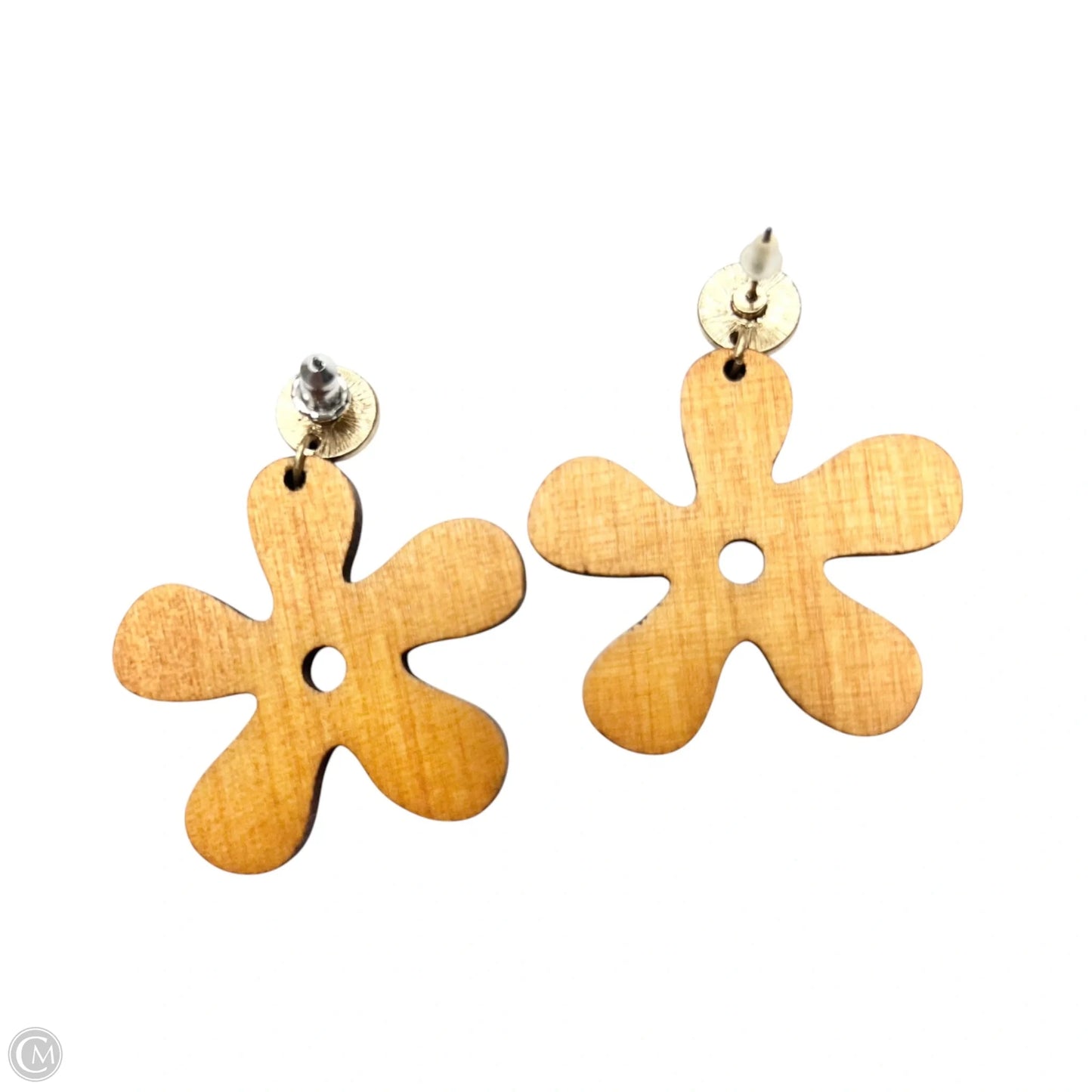 Earrings Other