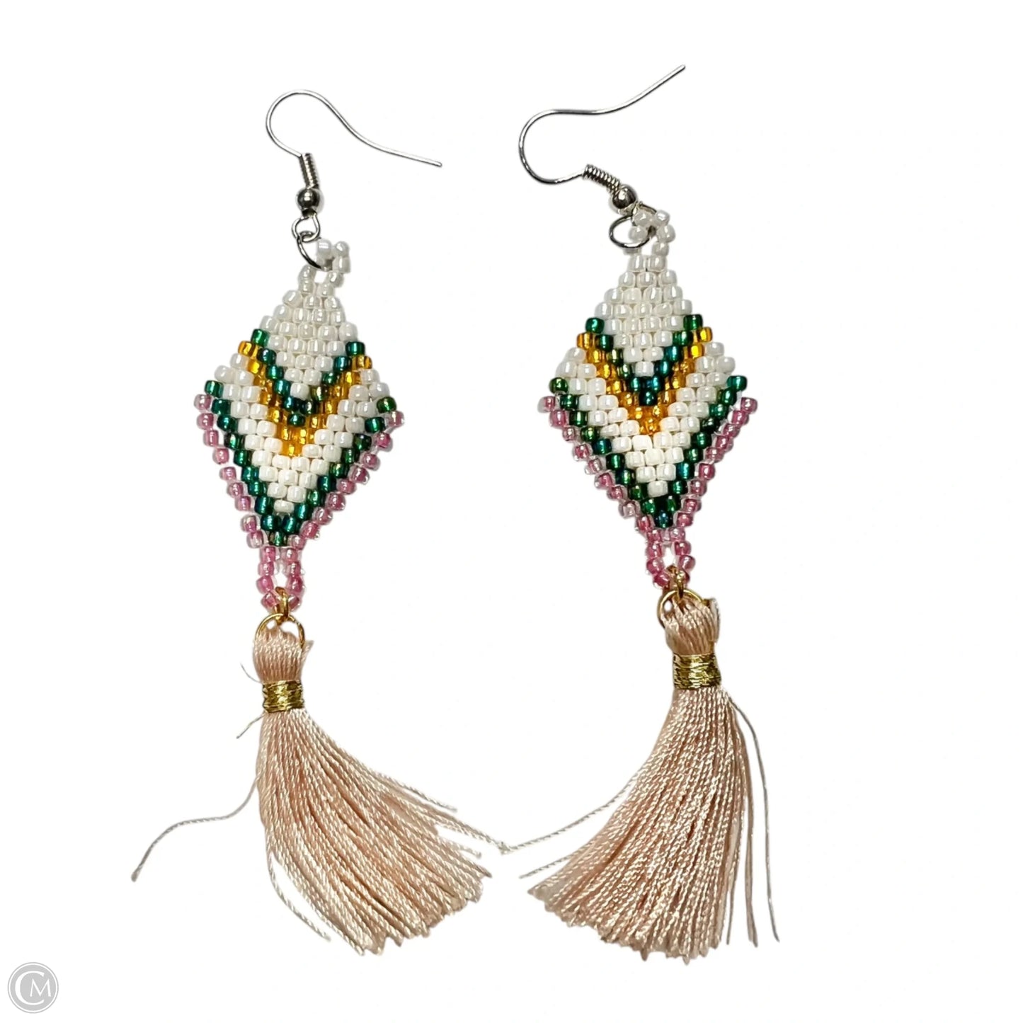 Earrings Other