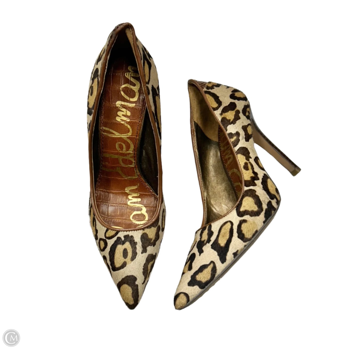 Shoes Heels Stiletto By Sam Edelman In Leopard Print, Size: 7