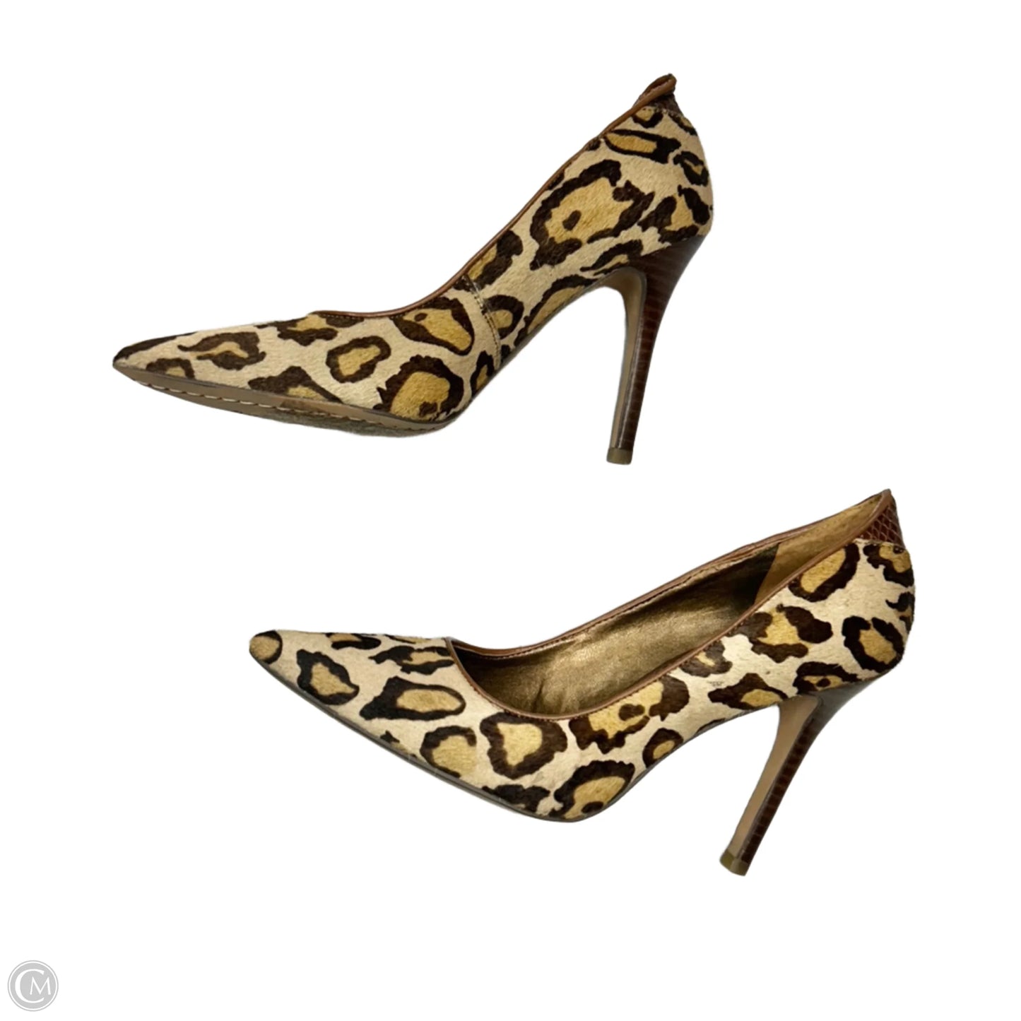 Shoes Heels Stiletto By Sam Edelman In Leopard Print, Size: 7