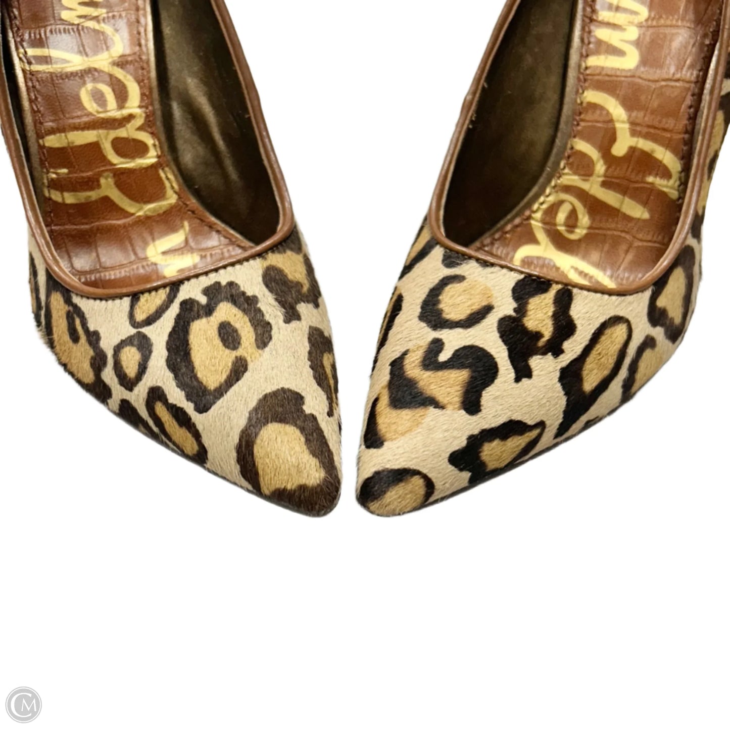 Shoes Heels Stiletto By Sam Edelman In Leopard Print, Size: 7
