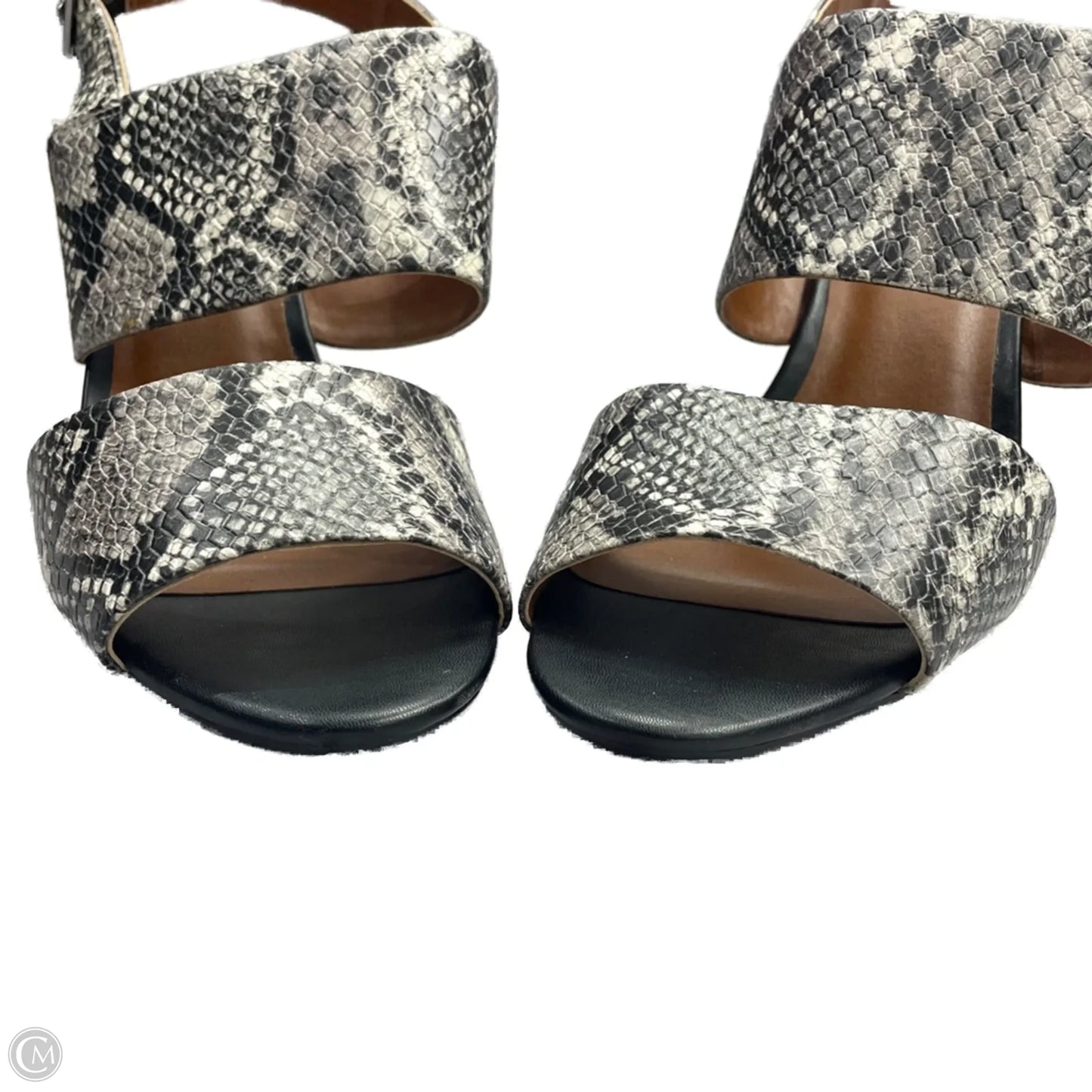 Sandals Heels Block By Franco Sarto In Snakeskin Print, Size: 11