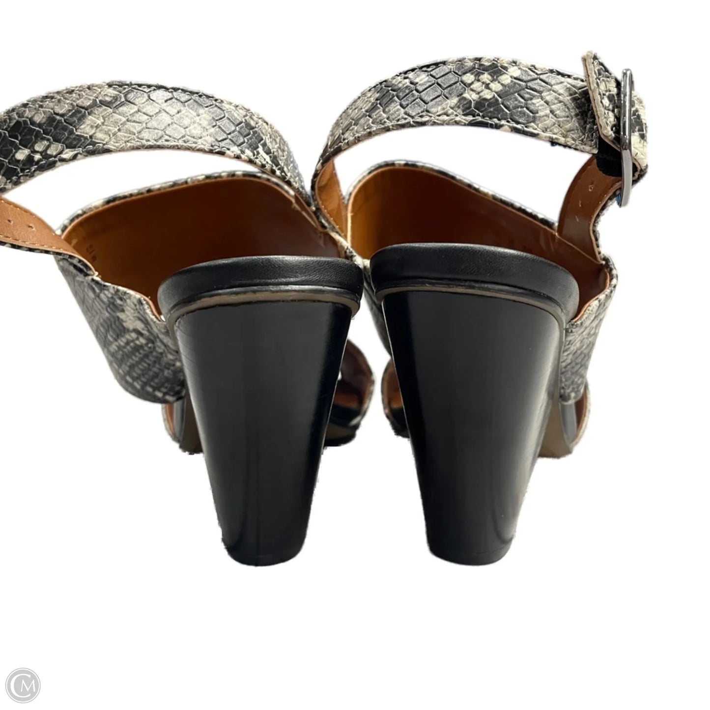 Sandals Heels Block By Franco Sarto In Snakeskin Print, Size: 11