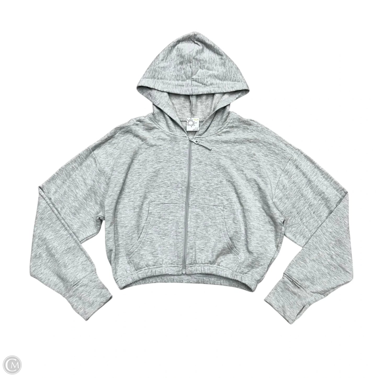 Sweatshirt Hoodie By Aerie In Grey, Size: M