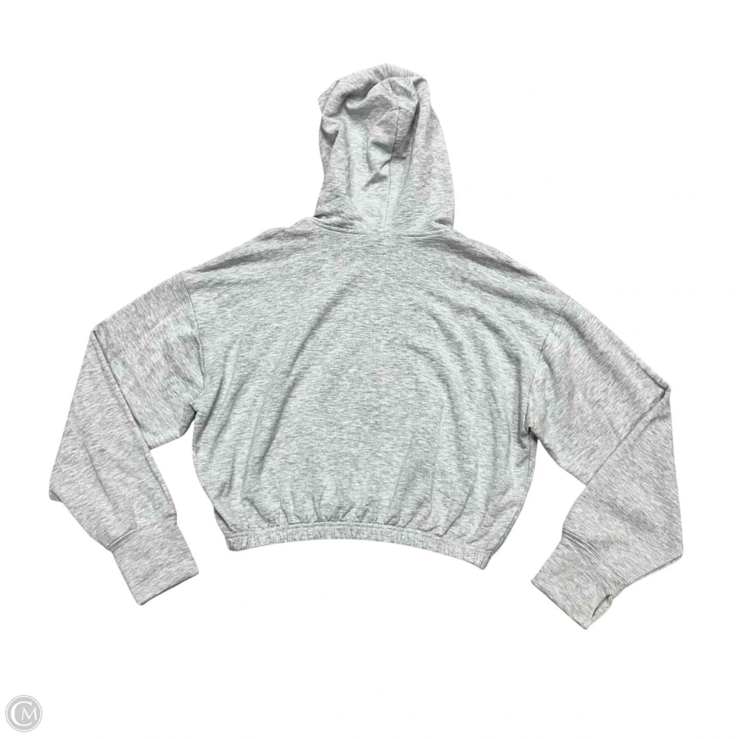 Sweatshirt Hoodie By Aerie In Grey, Size: M