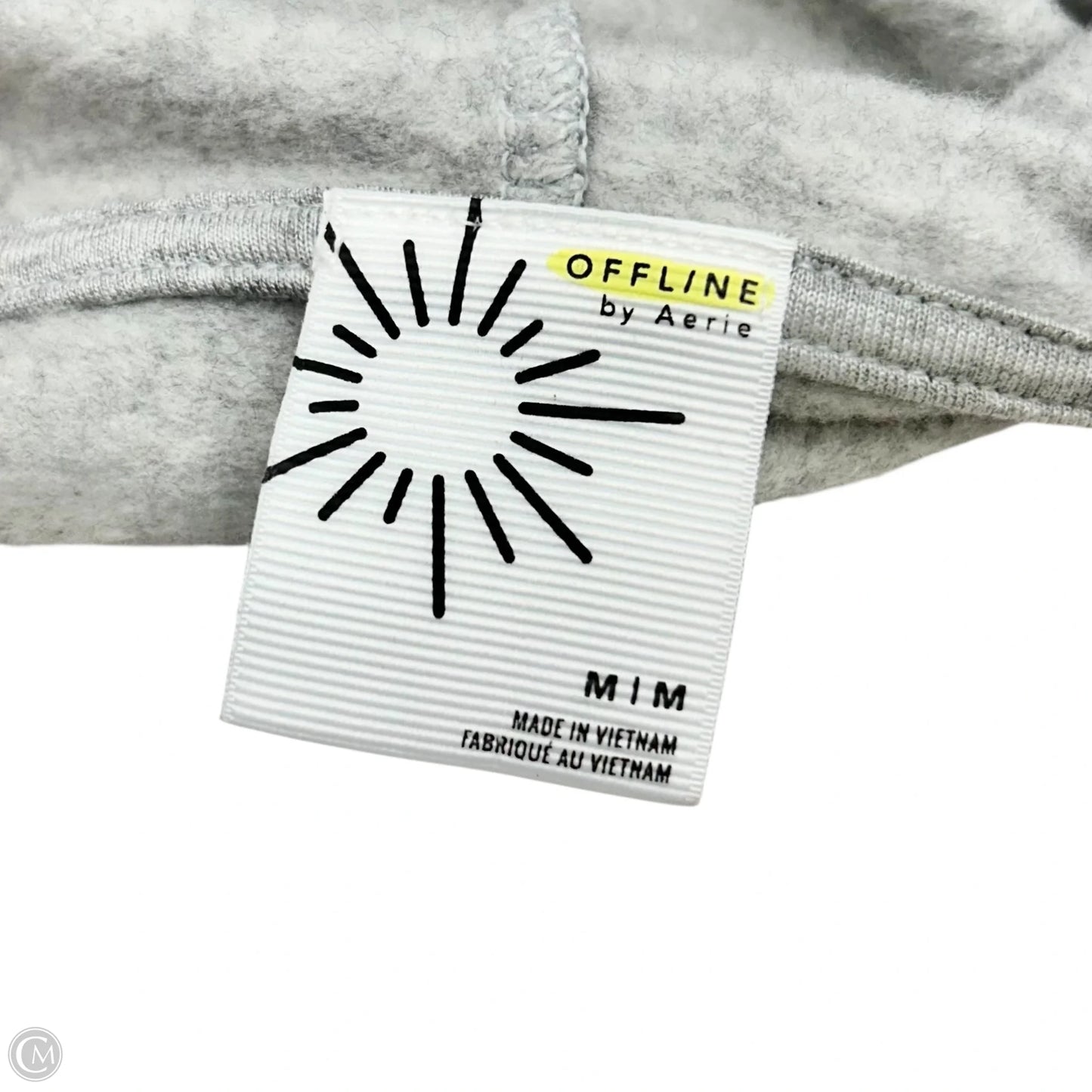 Sweatshirt Hoodie By Aerie In Grey, Size: M