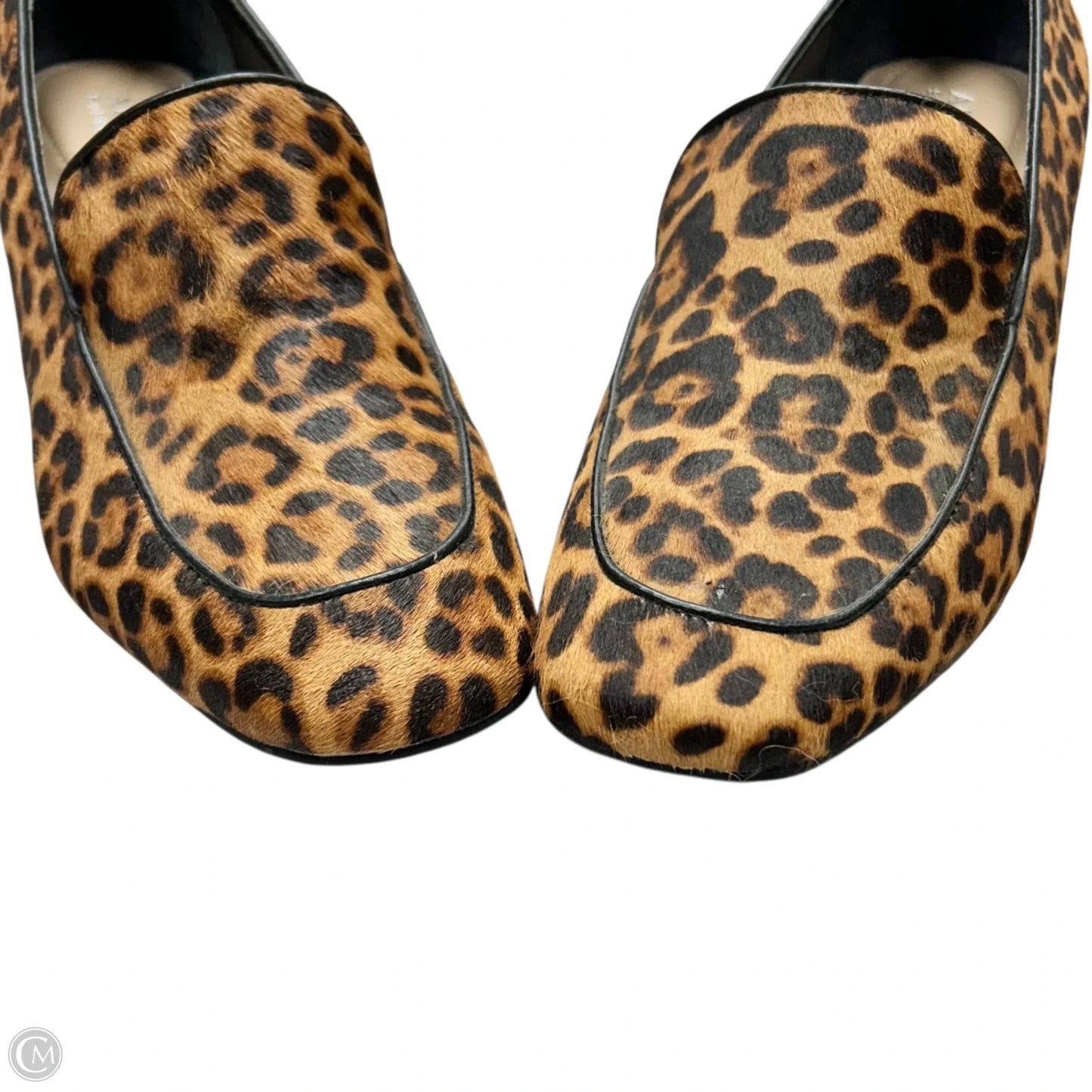 Shoes Heels Block By Alfani In Leopard Print, Size: 8.5