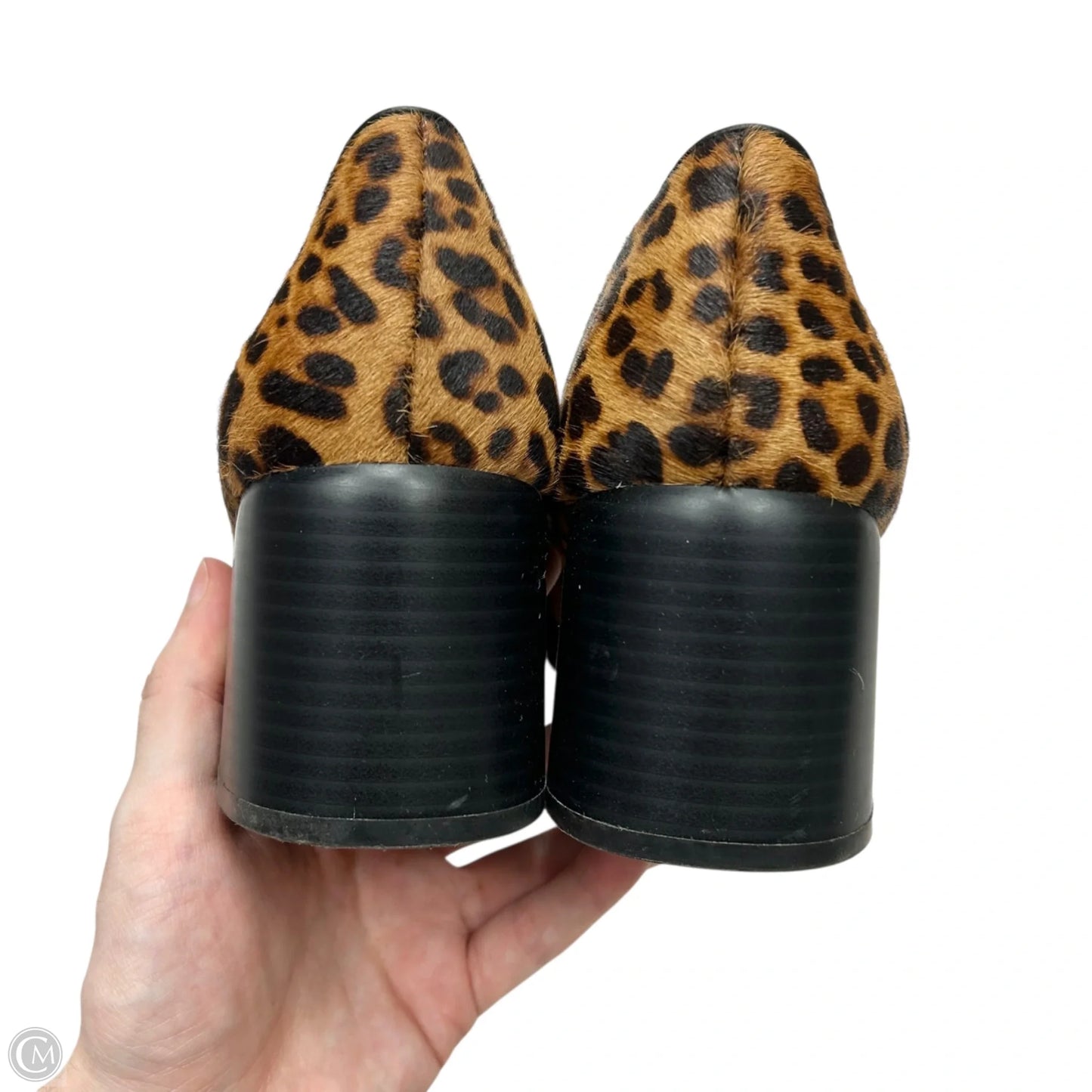 Shoes Heels Block By Alfani In Leopard Print, Size: 8.5