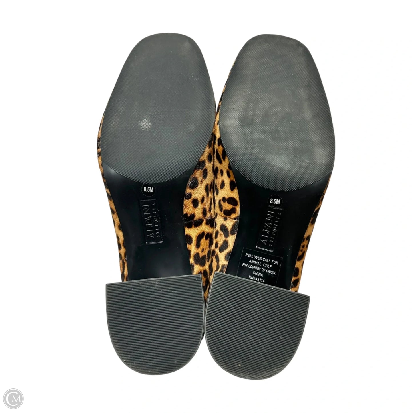 Shoes Heels Block By Alfani In Leopard Print, Size: 8.5