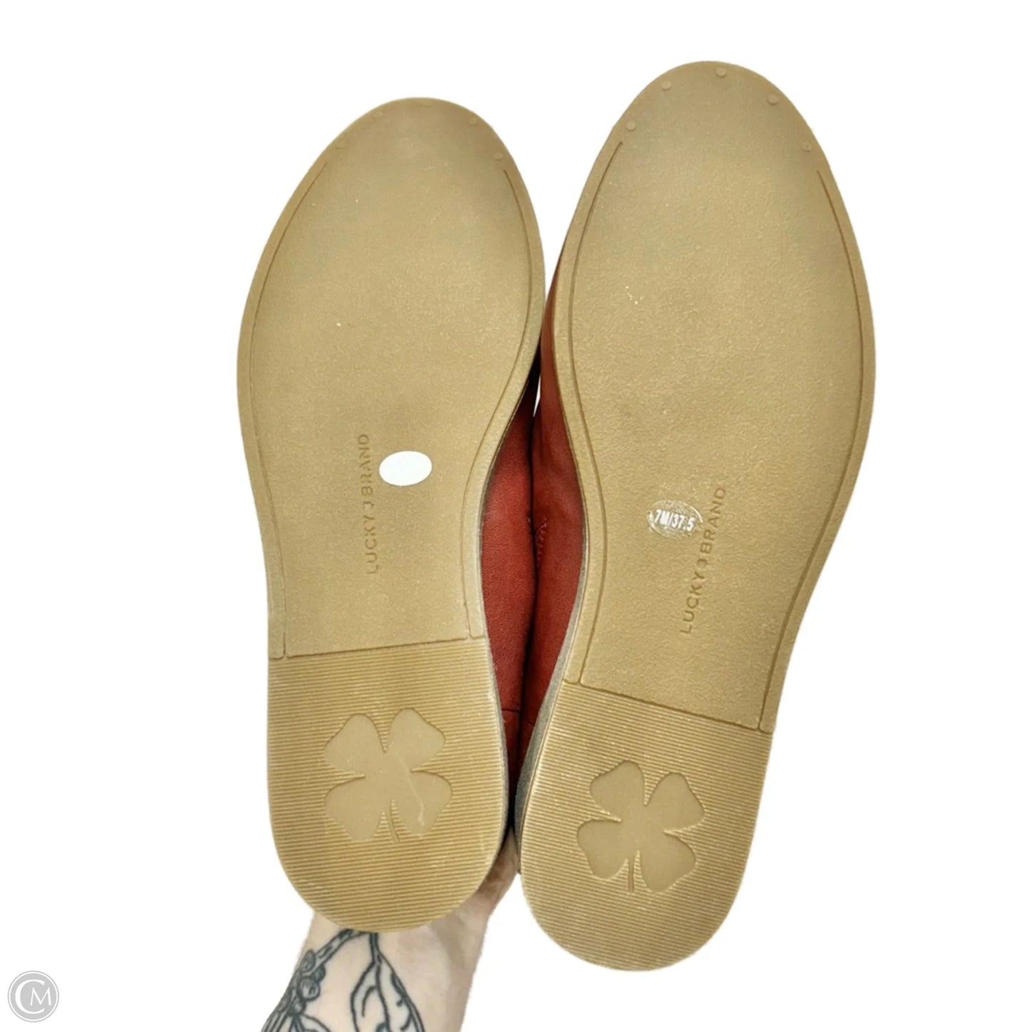 Shoes Flats By Lucky Brand In Maroon, Size: 7