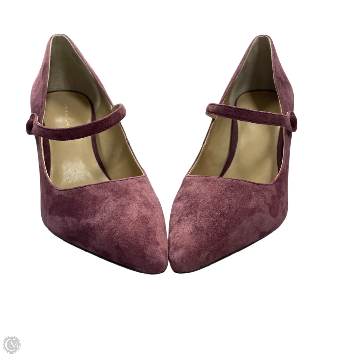 Shoes Heels Stiletto By Ann Taylor In Purple, Size: 7