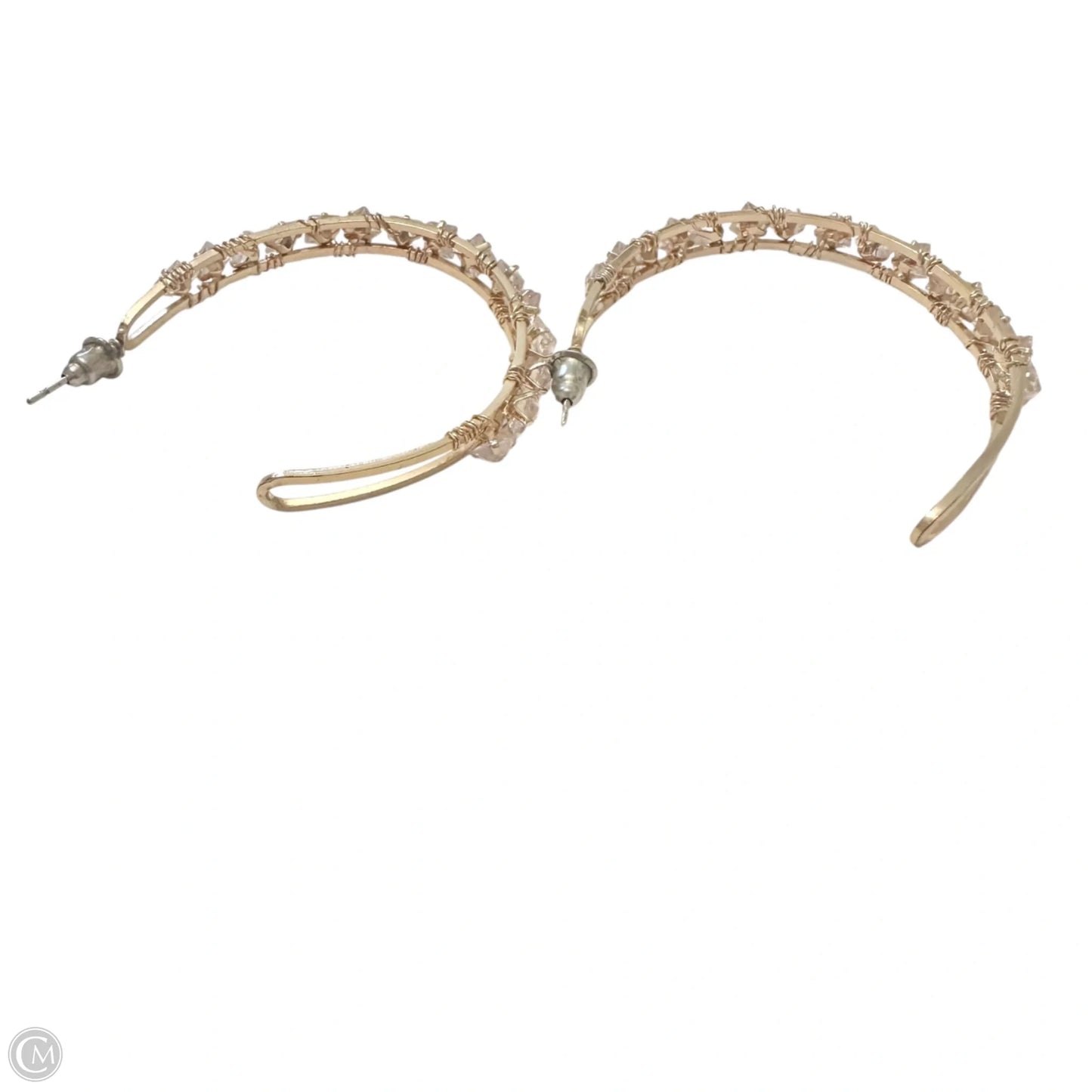 Earrings Hoop