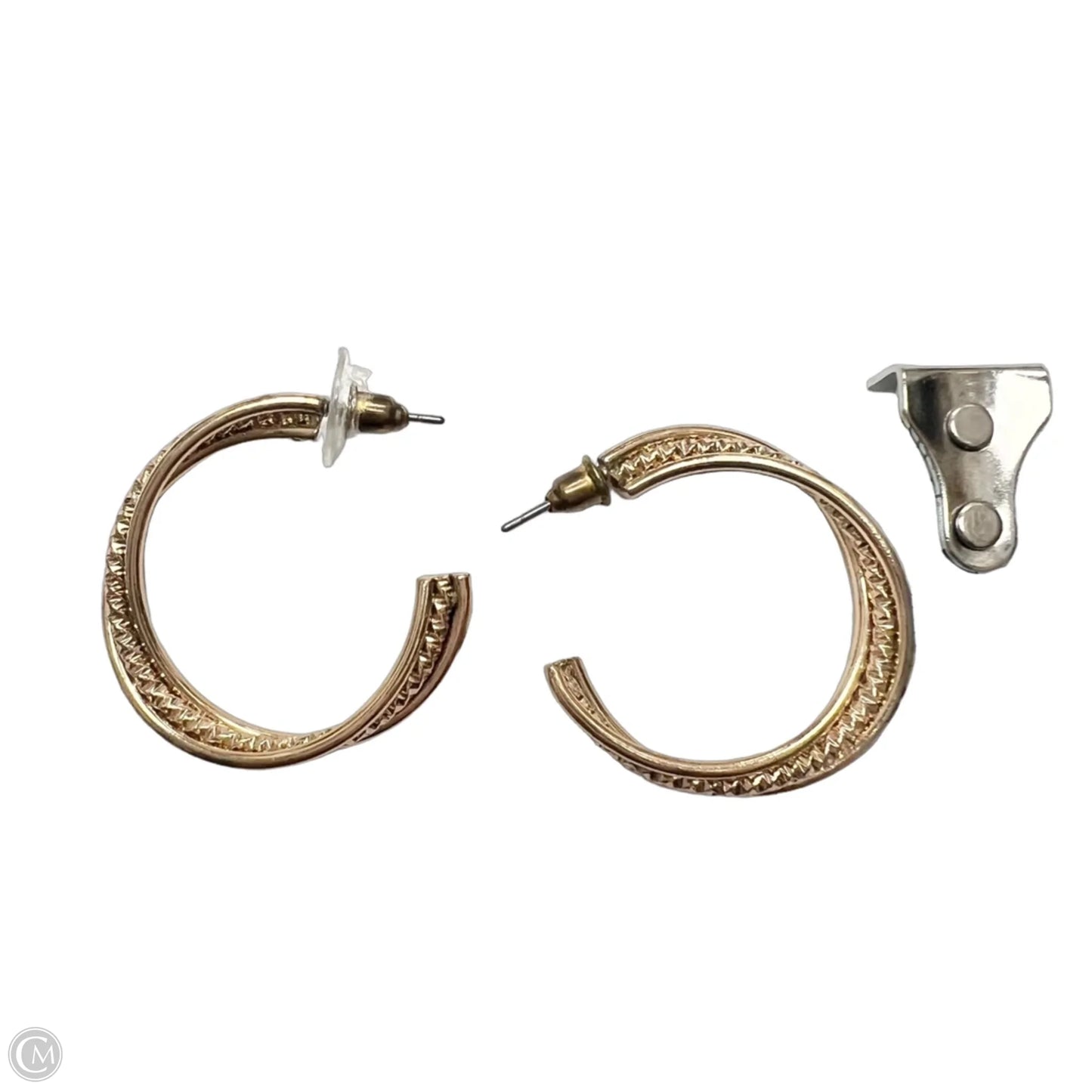 Earrings Hoop