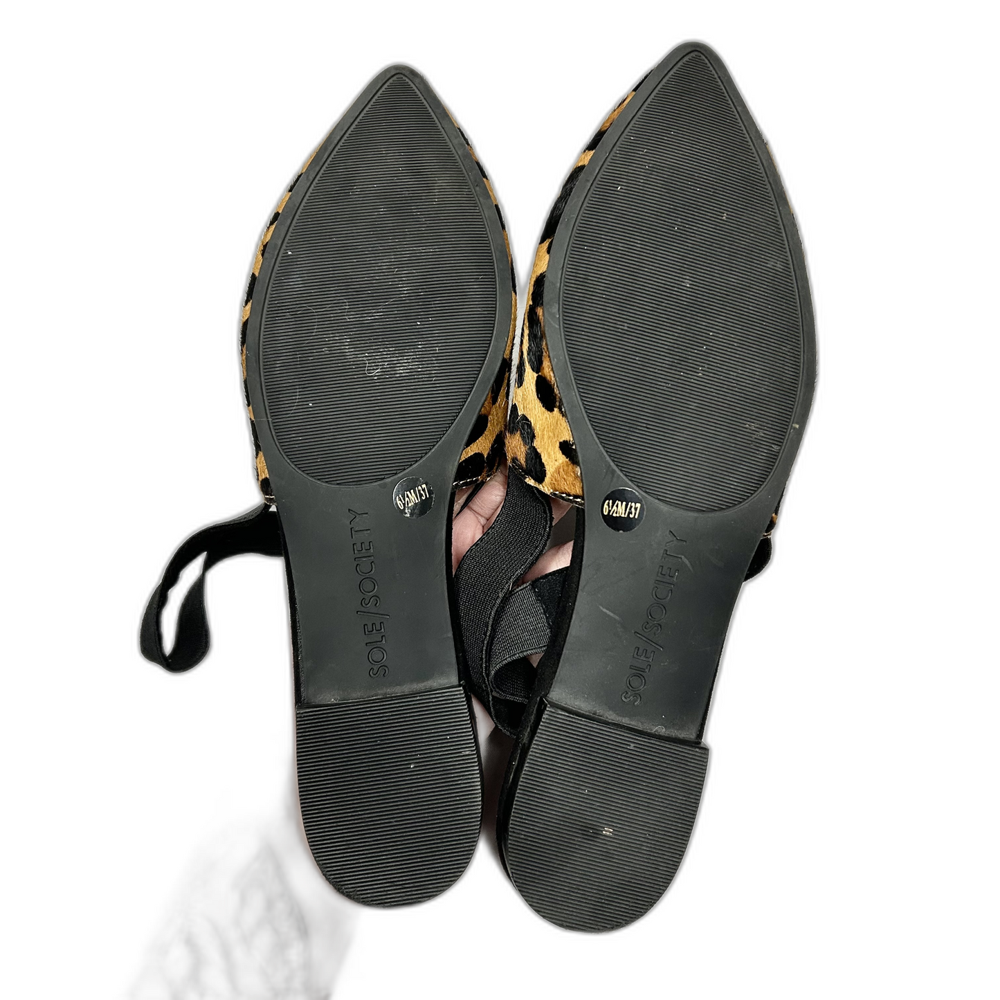 Shoes Flats By Sole Society In Leopard Print, Size: 6.5