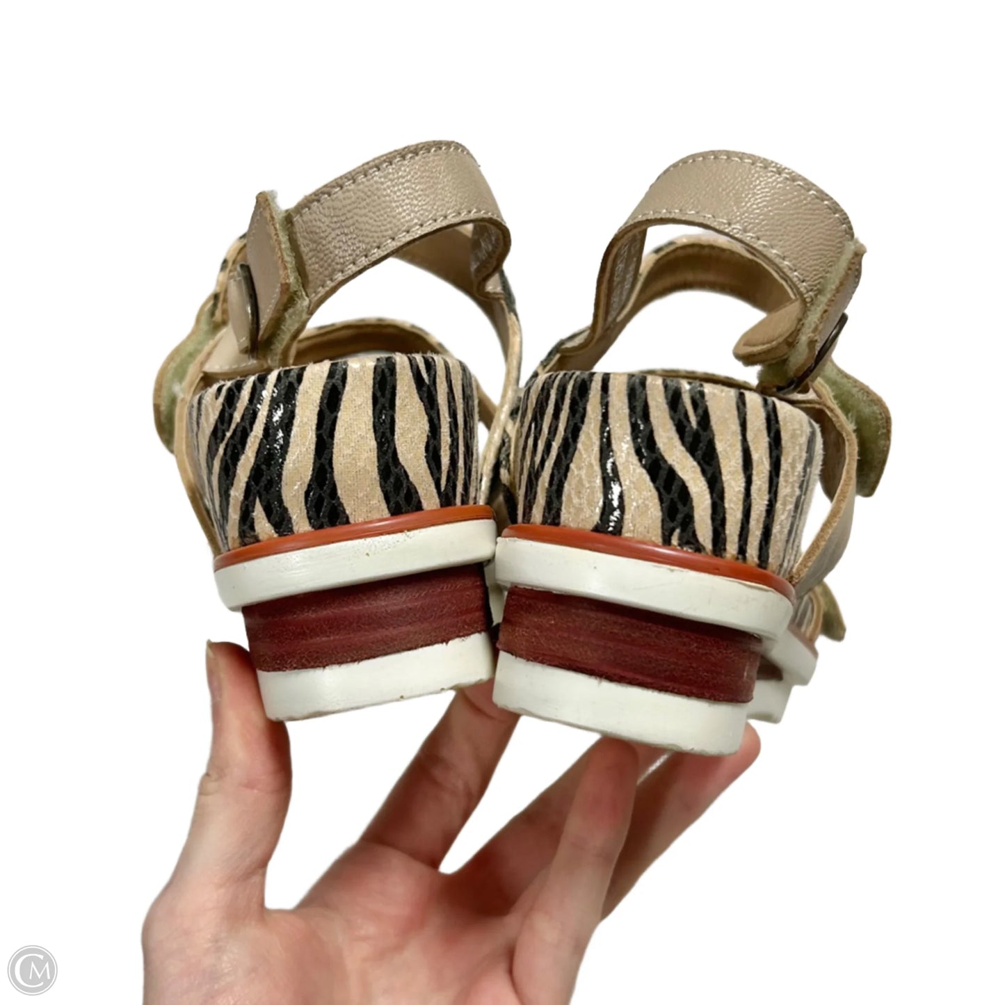 Sandals Heels Platform By Spring Step In Zebra Print, Size: 7
