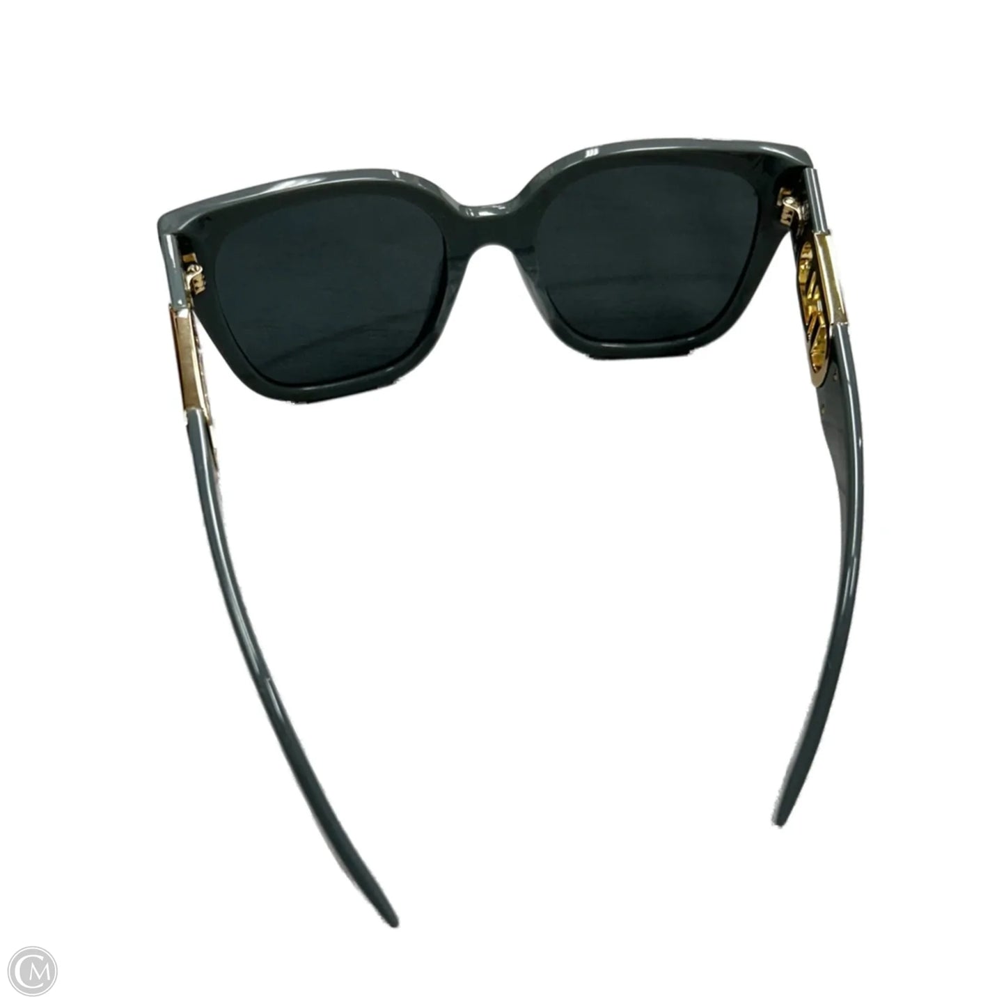 Sunglasses Luxury Designer By Fendi