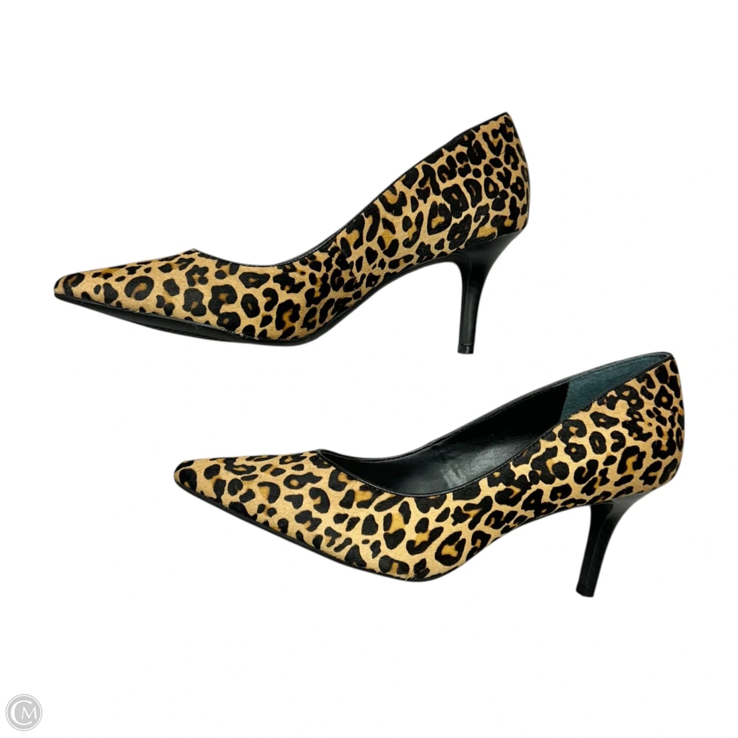 Shoes Heels Stiletto By Alfani In Leopard Print, Size: 11