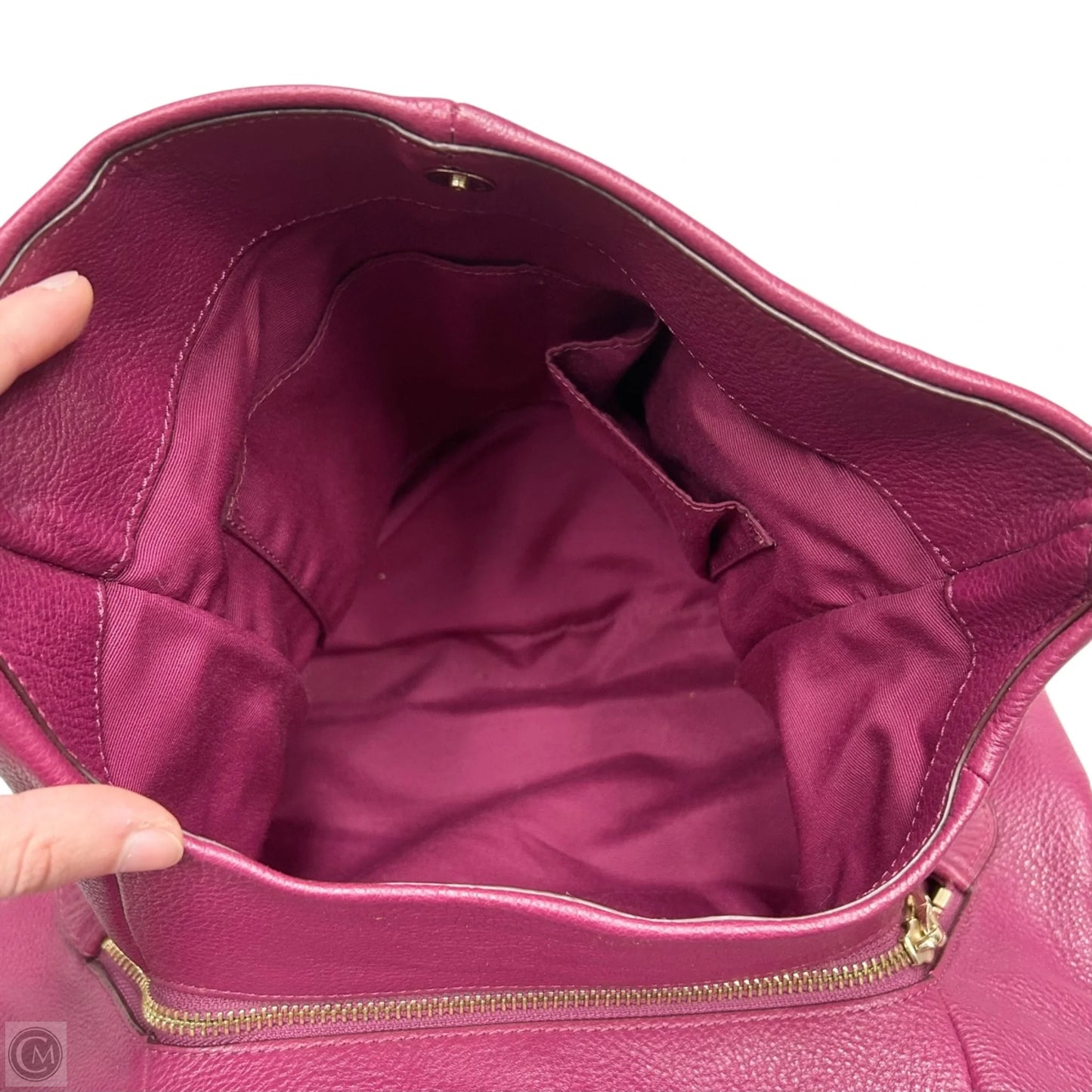 Handbag Designer By Coach, Size: Large