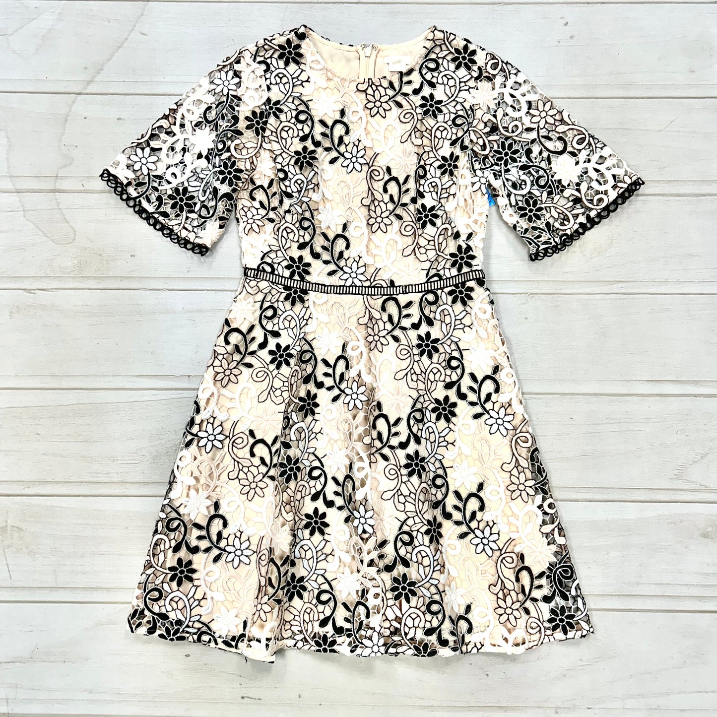 Dress Designer By Shosanna Size: 2p