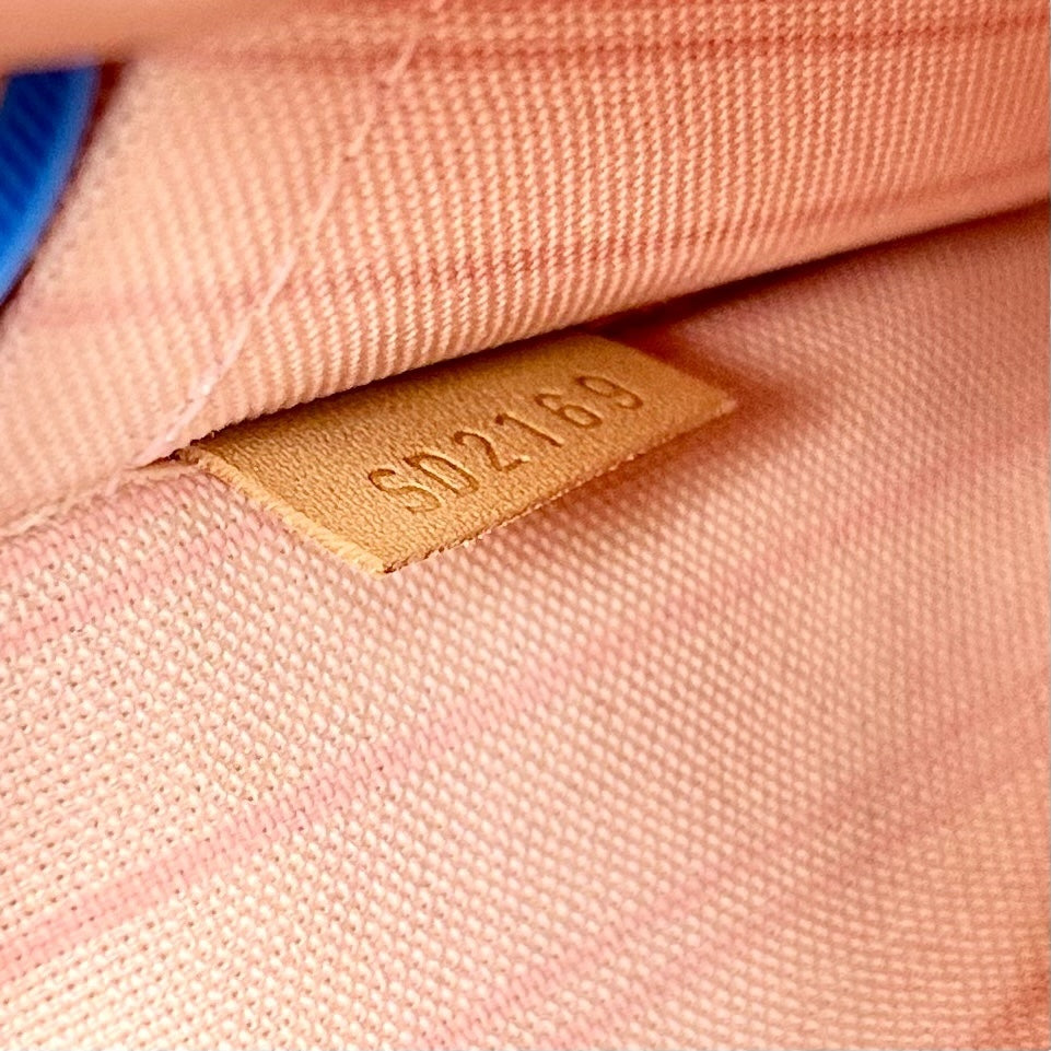 Wristlet Luxury Designer By Louis Vuitton, Size: Medium