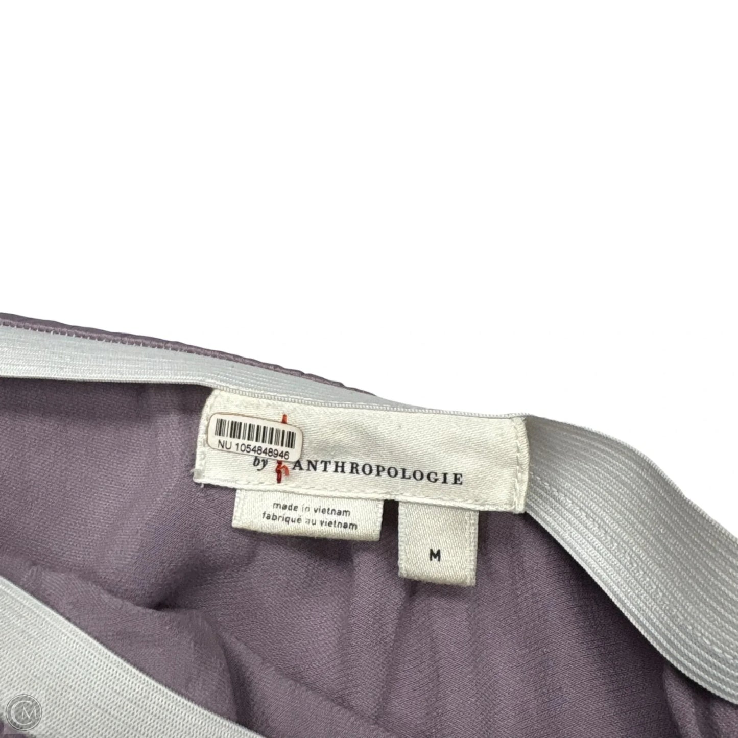 Skirt Maxi By Anthropologie In Purple, Size: M