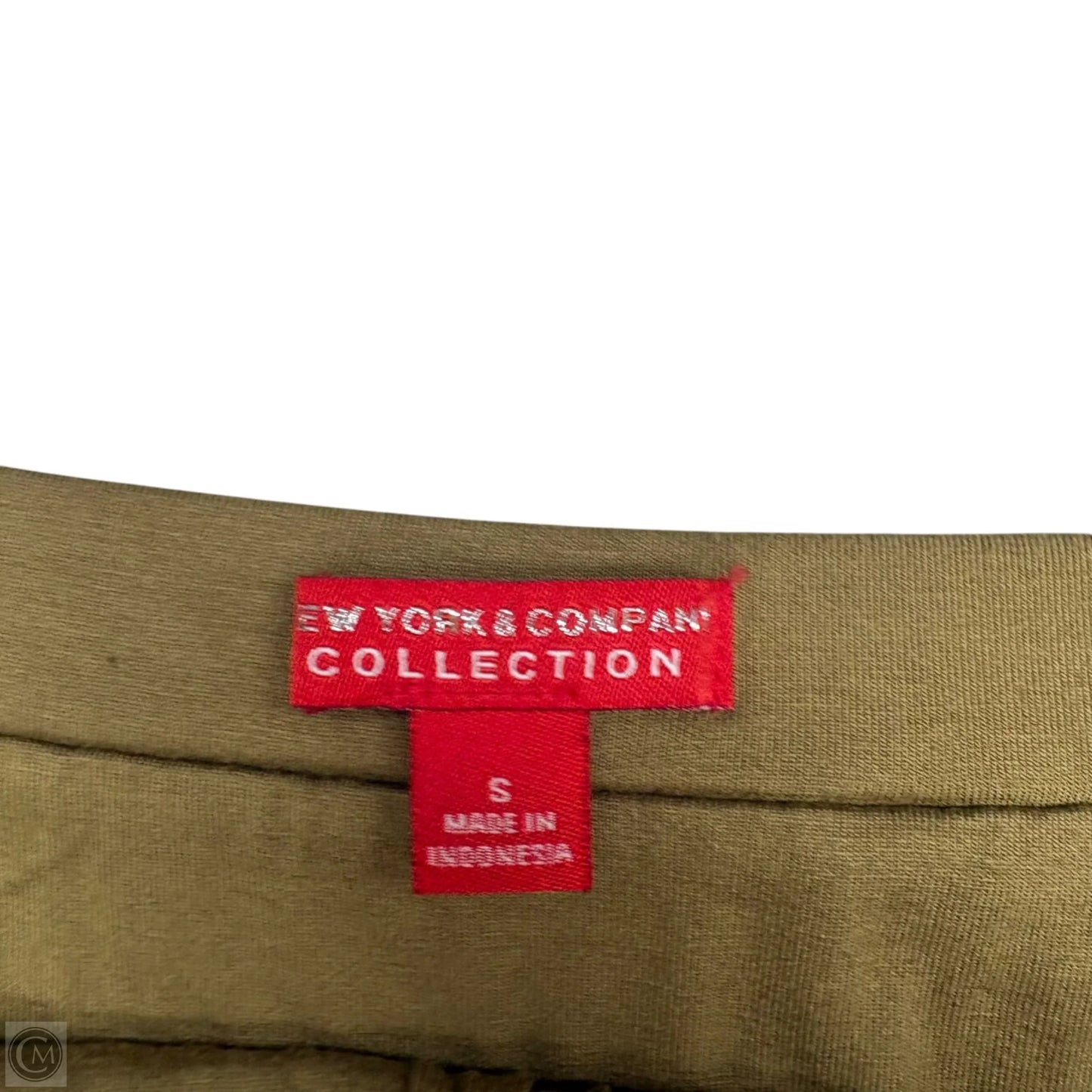 Skirt Midi By New York And Co In Green, Size: S