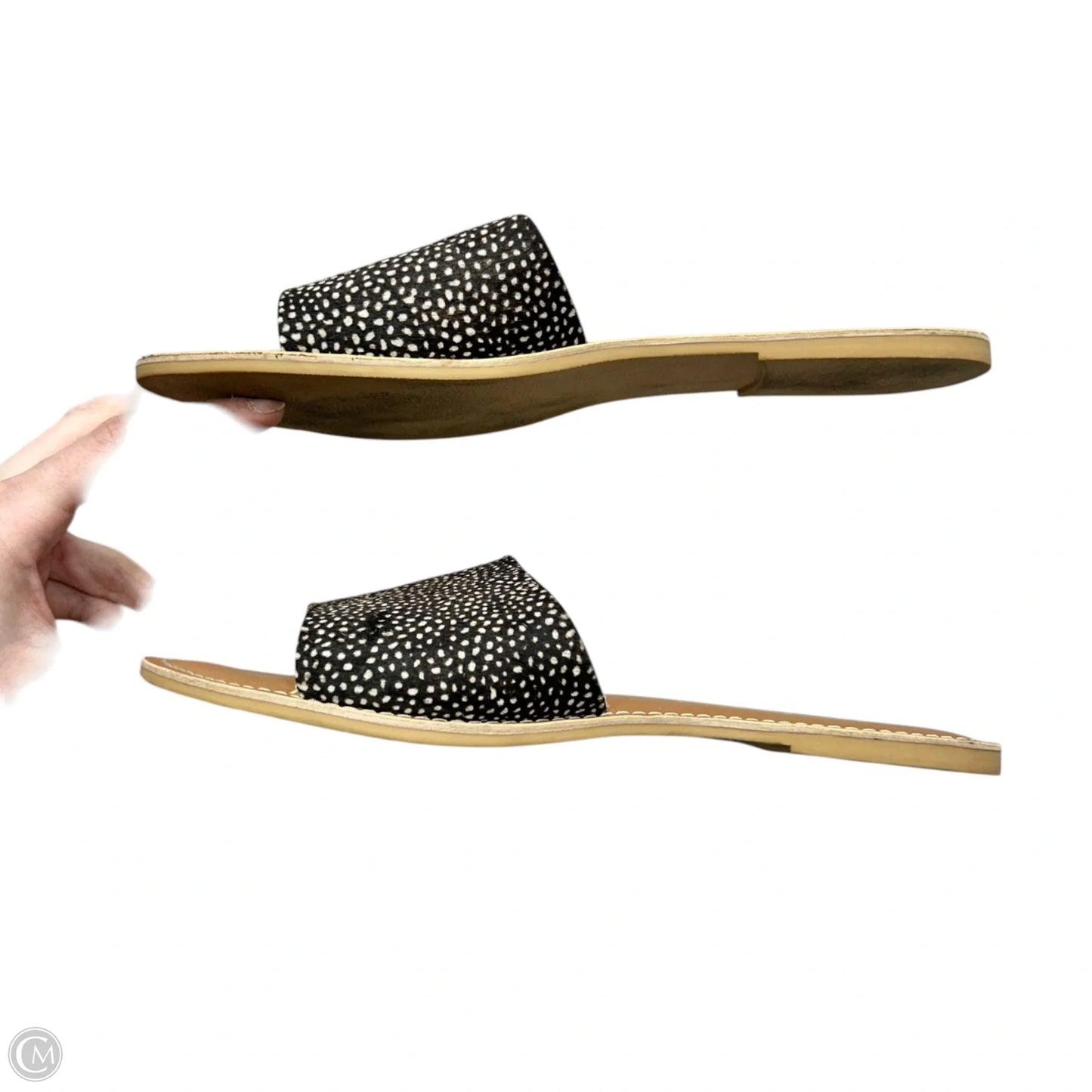 Sandals Flats By Matisse In Polkadot Pattern, Size: 8