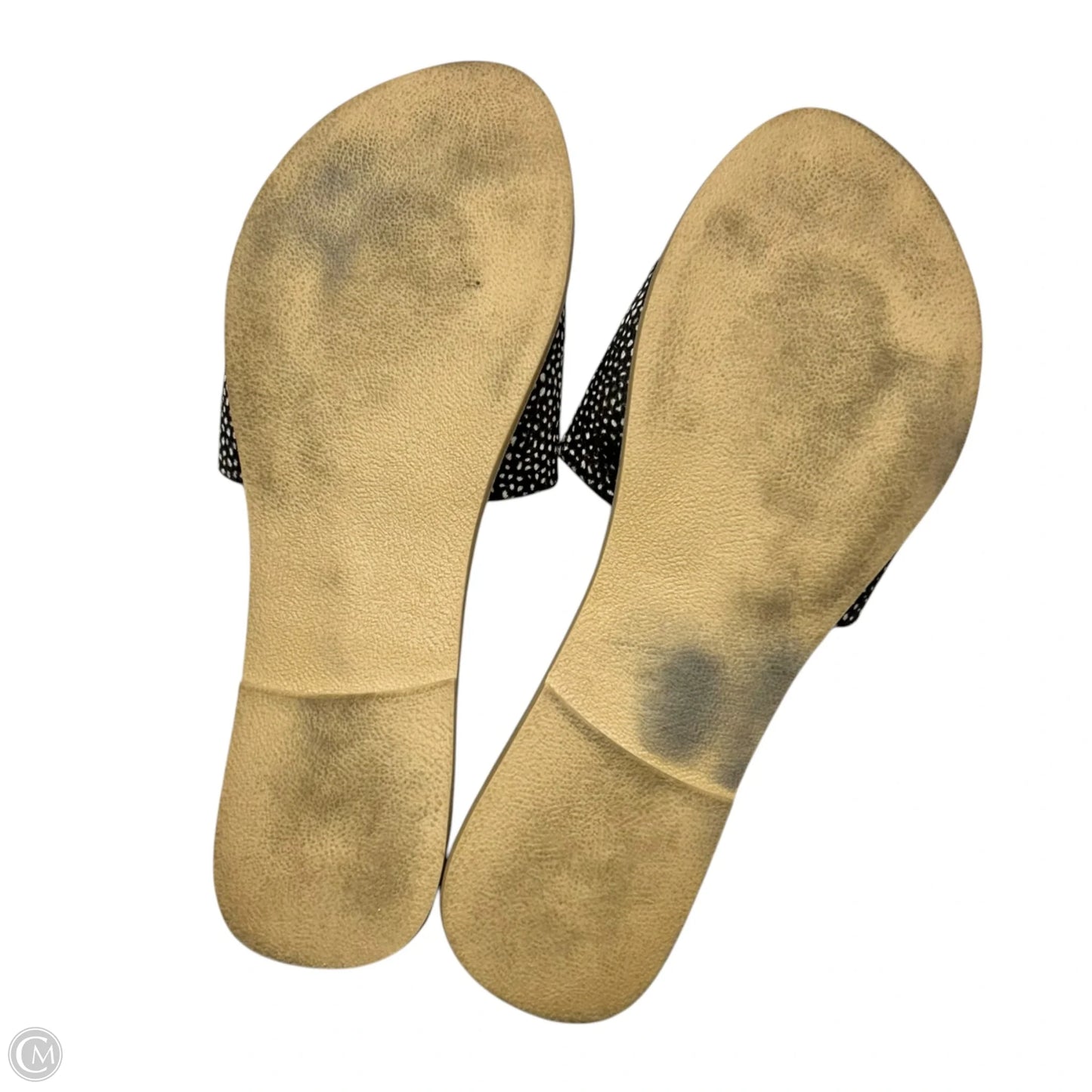 Sandals Flats By Matisse In Polkadot Pattern, Size: 8