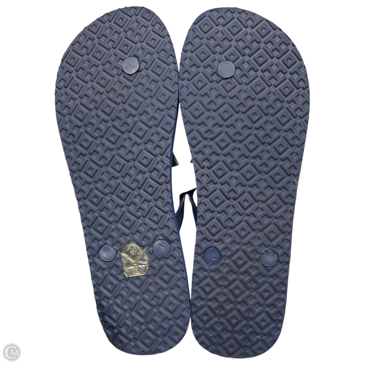 Sandals Designer By Tory Burch In Black & Blue, Size: 9