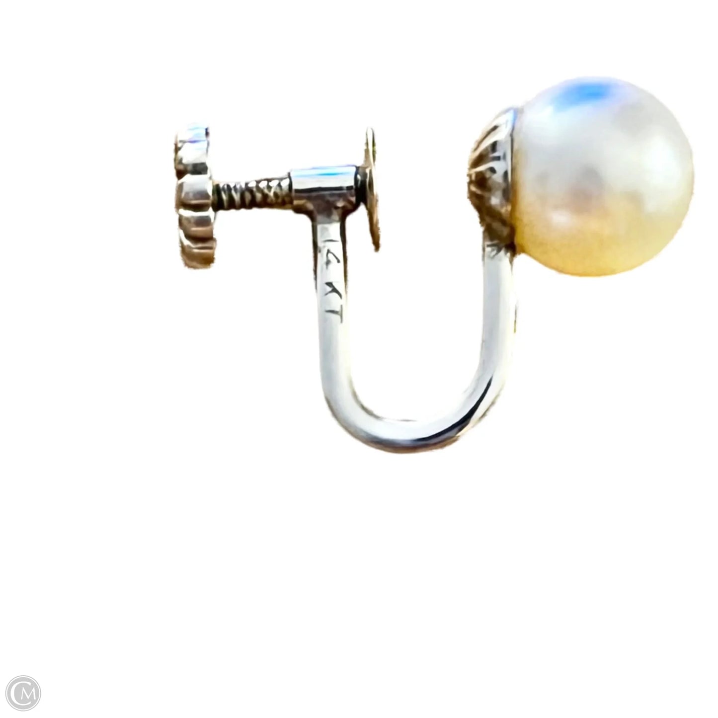 Earrings Stud