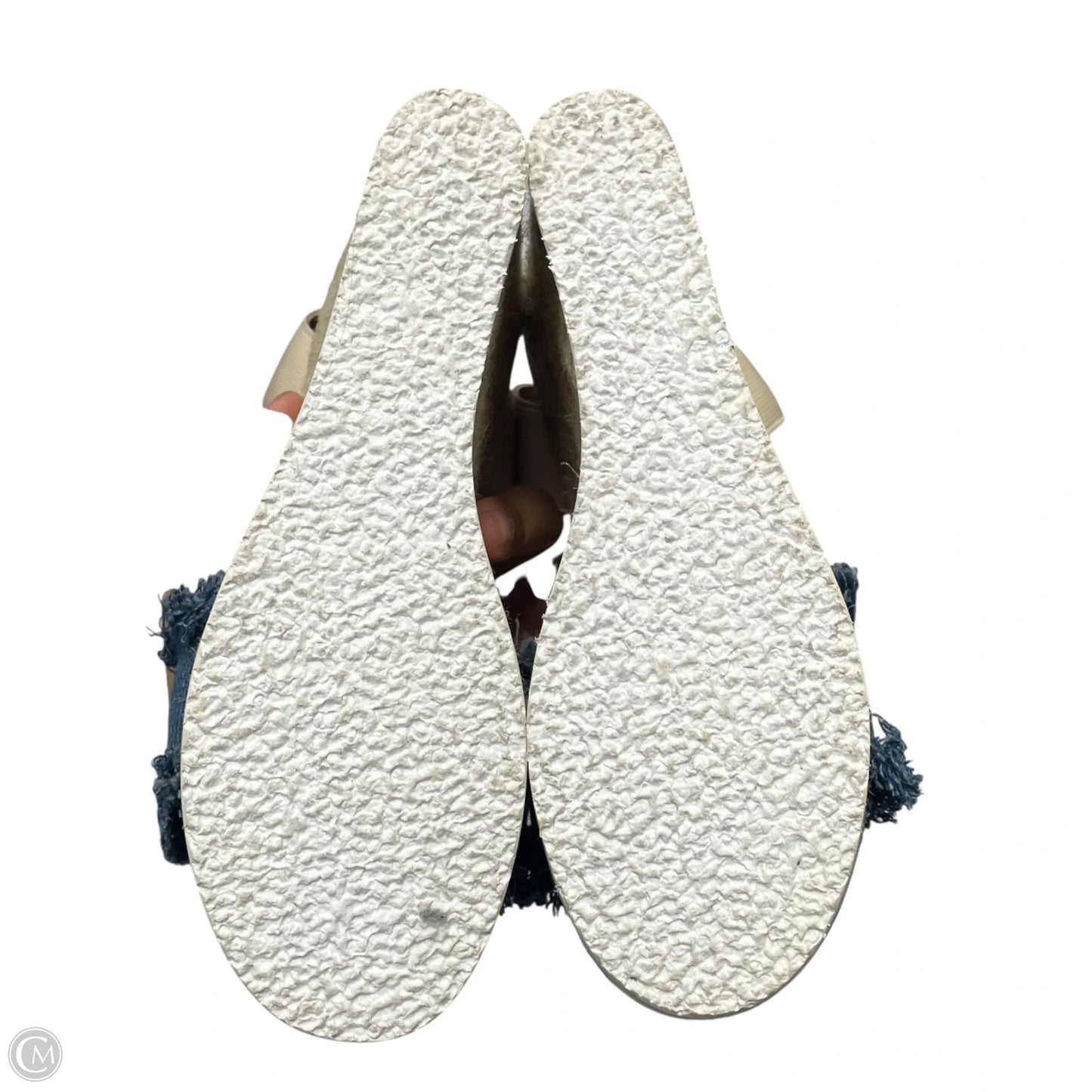 Sandals Heels Wedge By Steve Madden In Blue & Cream, Size: 7.5