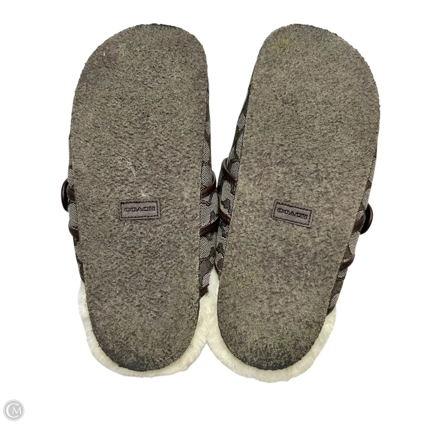 Shoes Designer By Coach In Brown & Cream, Size: 8