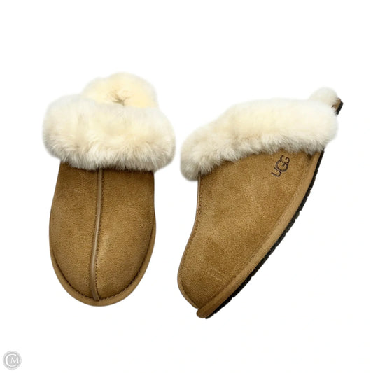 Slippers Designer By Ugg In Brown & Cream, Size: 6