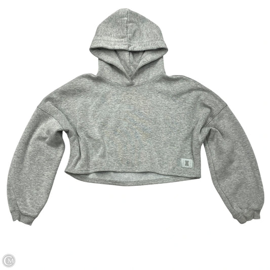 Sweatshirt Hoodie By Savage x Fenty In Grey, Size: L