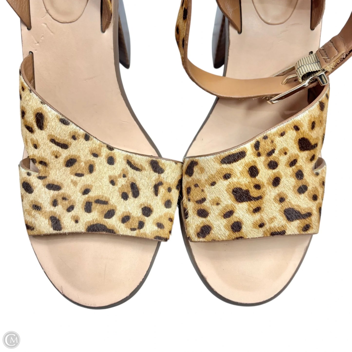 Sandals Heels Block By Giani Bernini In Leopard Print, Size: 8