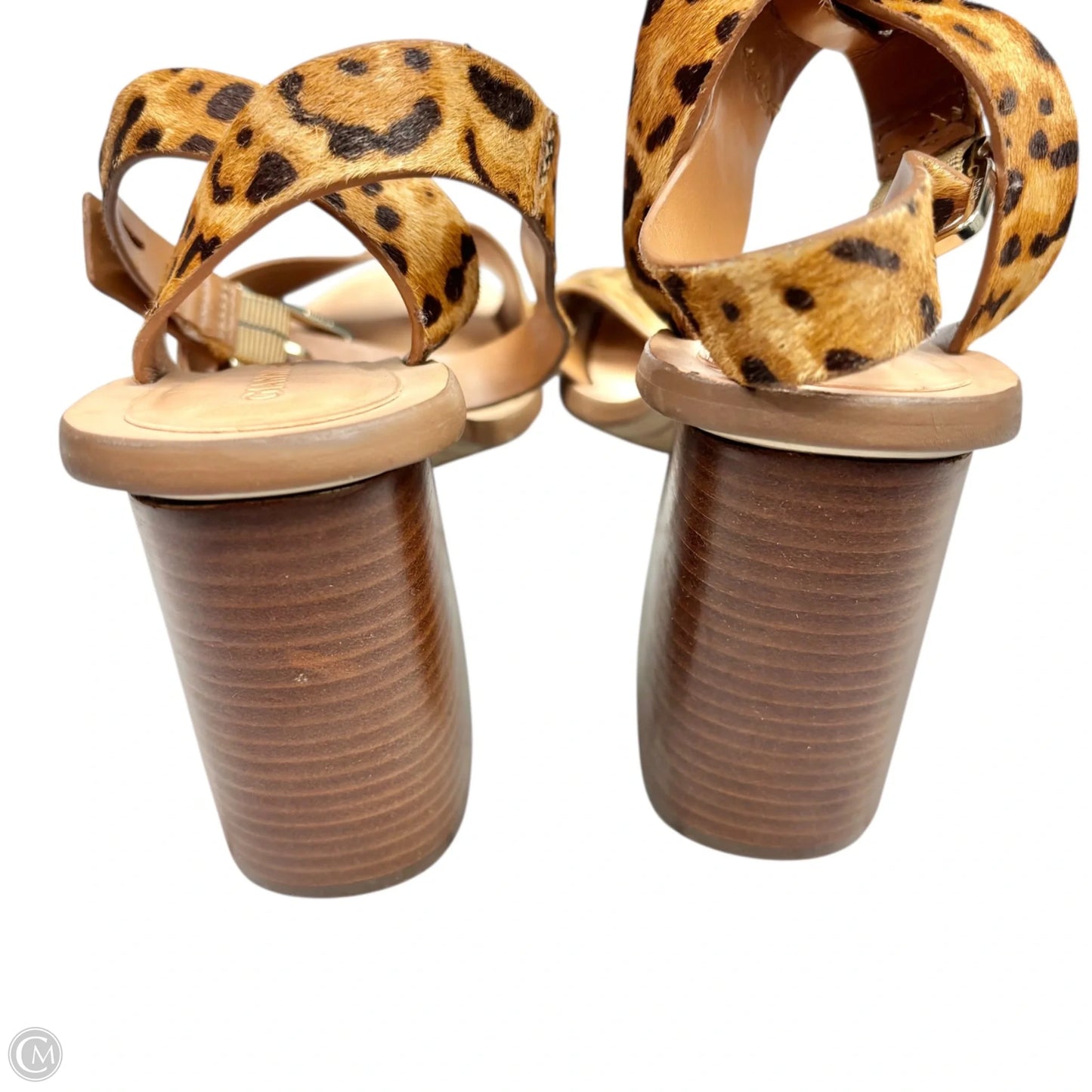 Sandals Heels Block By Giani Bernini In Leopard Print, Size: 8