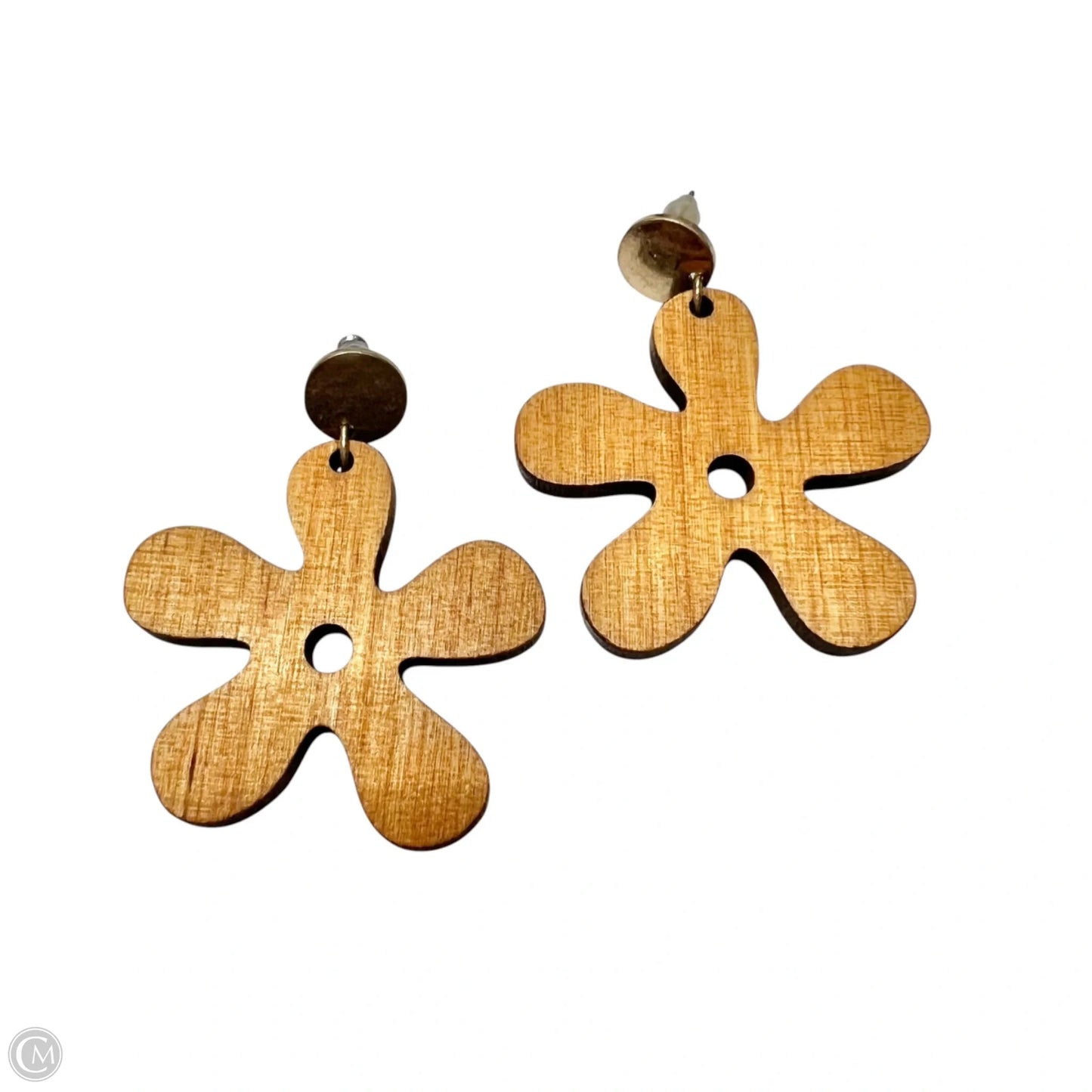 Earrings Other