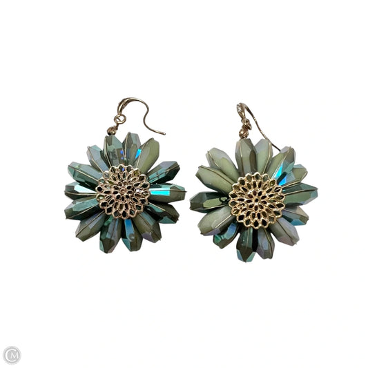Earrings Other