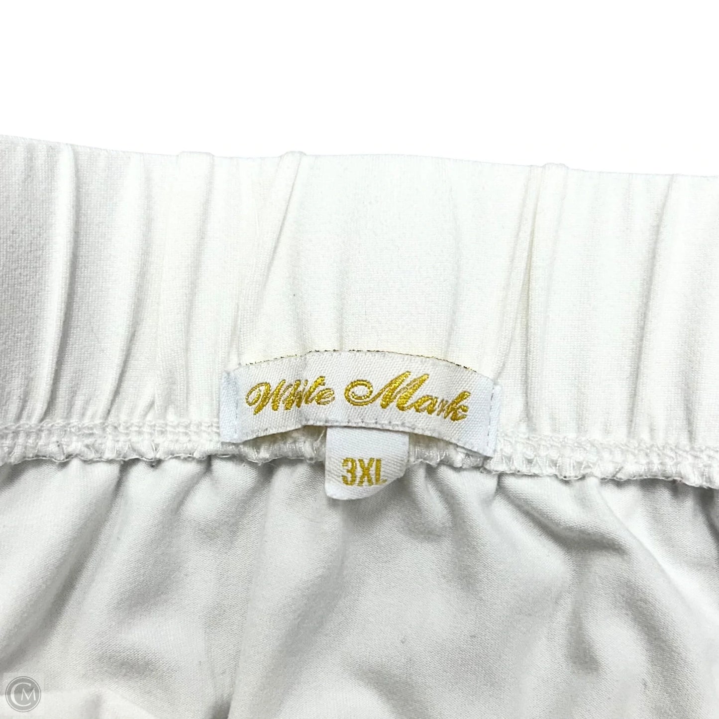 Skirt Maxi By White Mark In White, Size: 3x