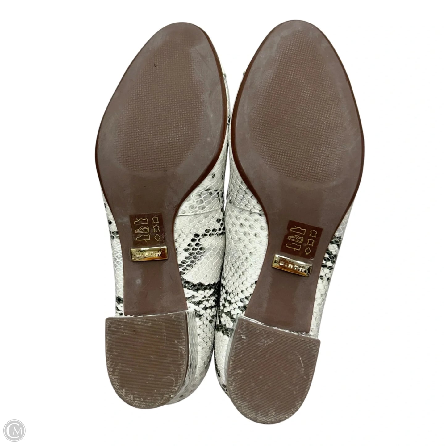 Shoes Heels Block By Wirth In Snakeskin Print, Size: 5.5