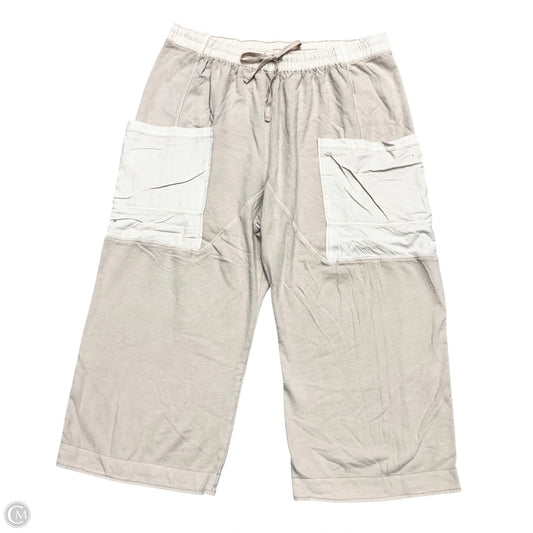 Pants Cargo & Utility By Torrid In Mauve, Size: 4x