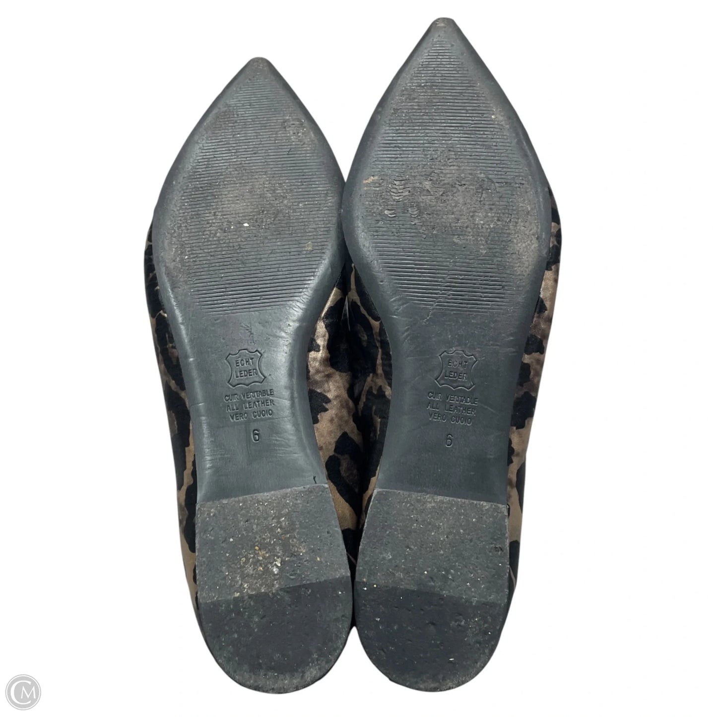 Shoes Flats By Kennel & Schmenger In Leopard Print, Size: 6