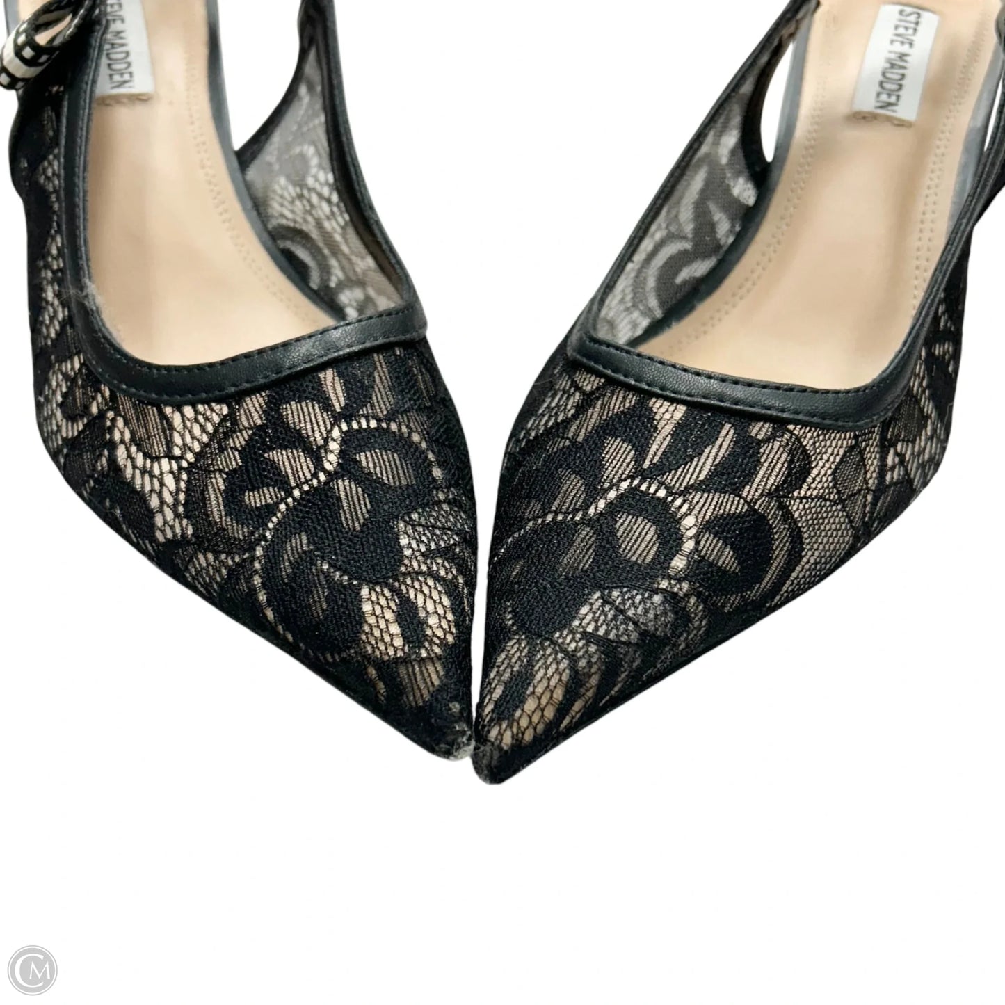 Shoes Heels Kitten By Steve Madden In Black, Size: 8.5