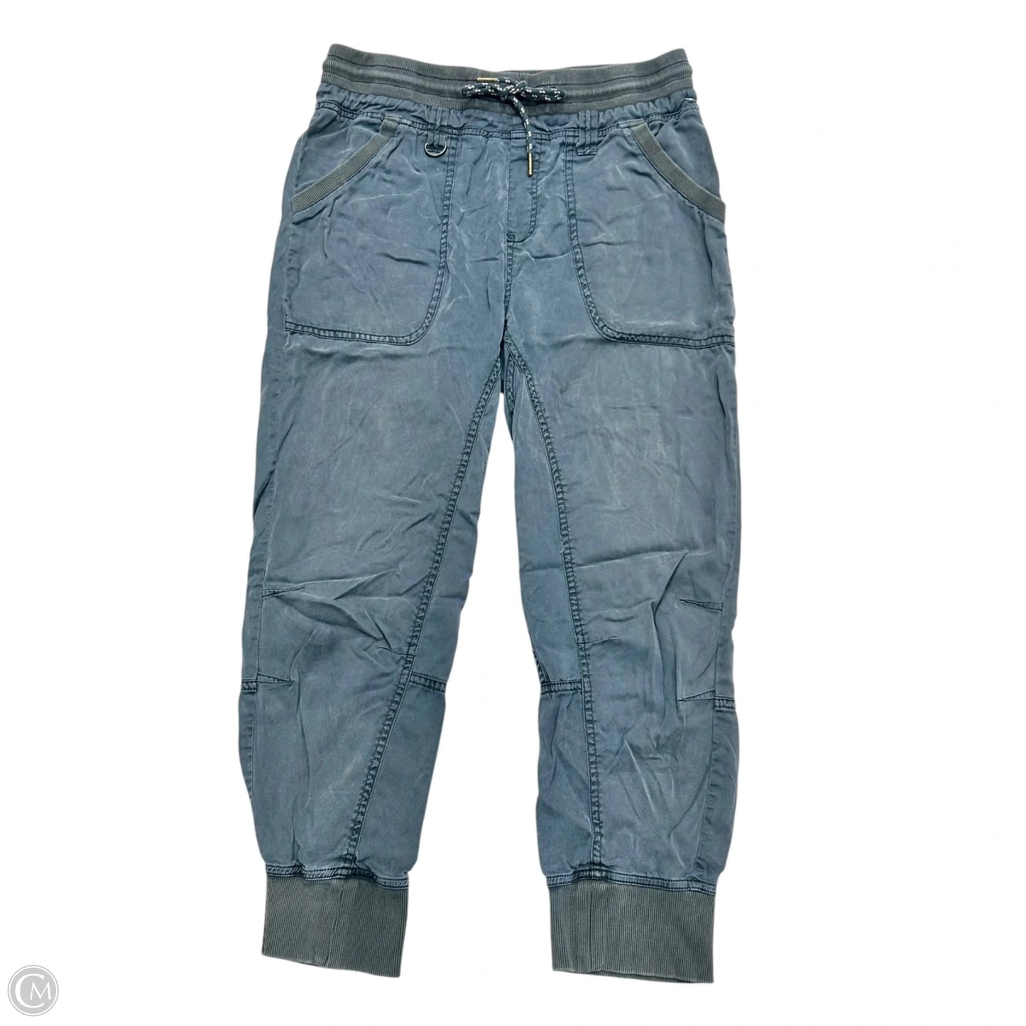 Pants Joggers By Pilcro In Blue, Size: S