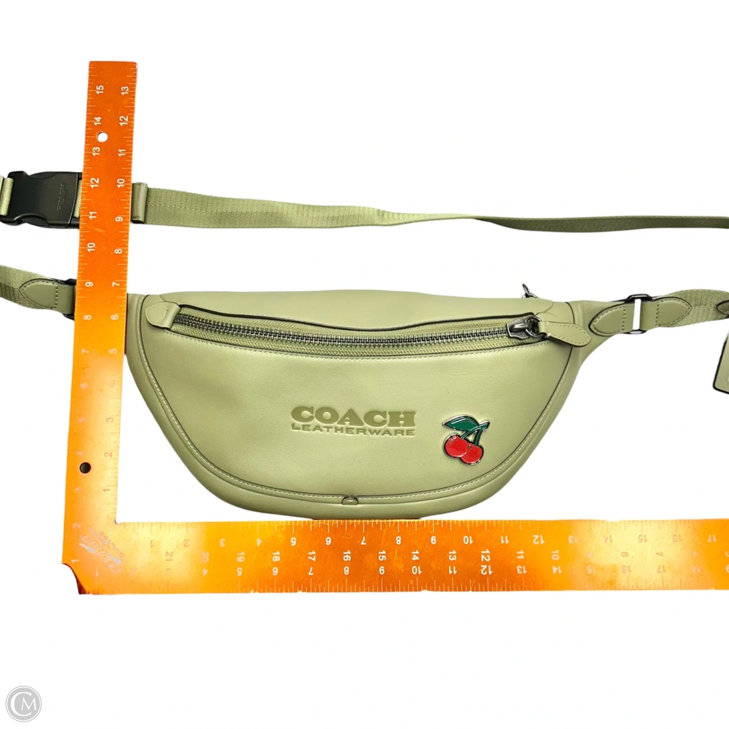 Belt Bag Designer By Coach, Size: Medium